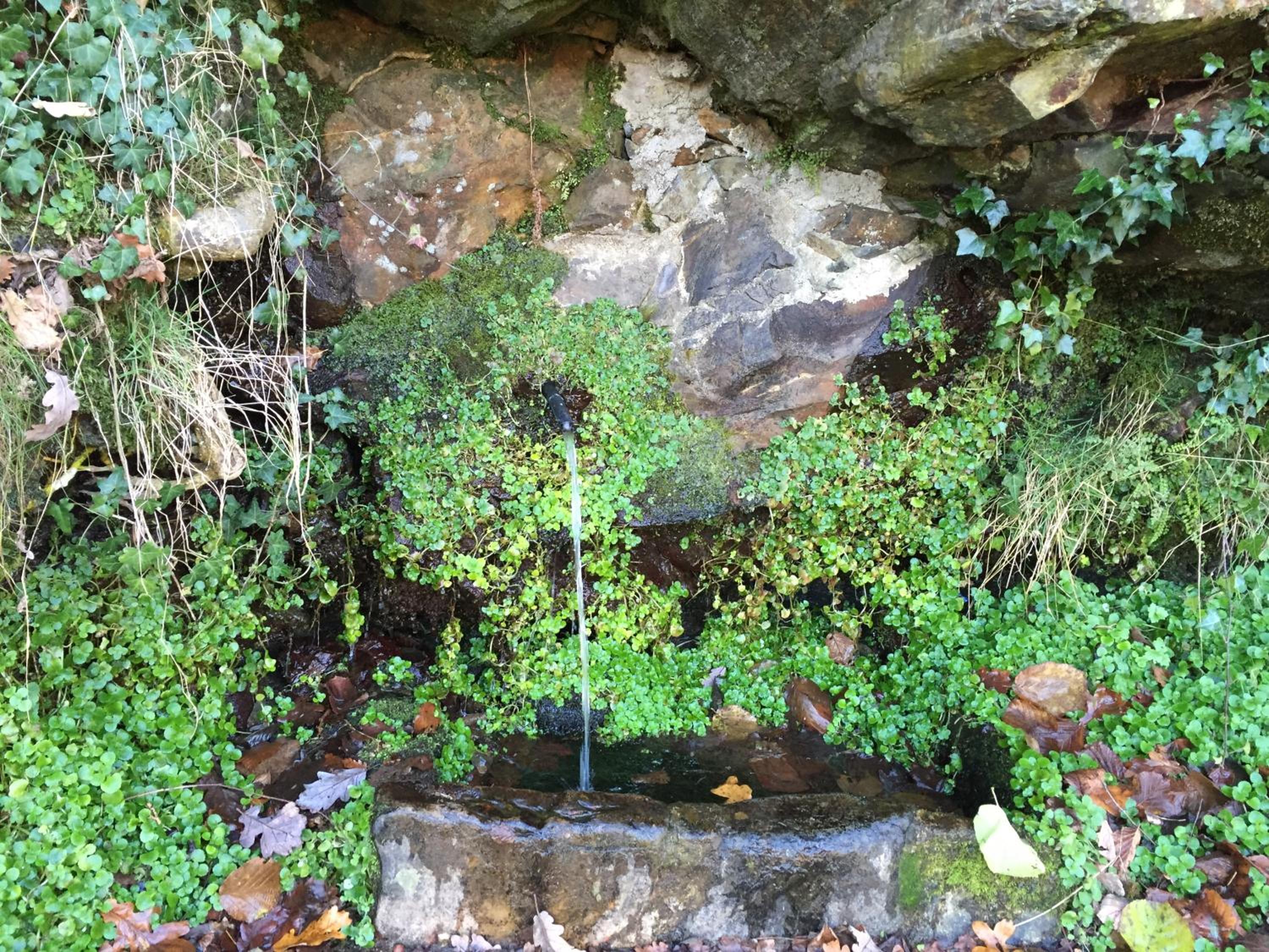 Photo 14