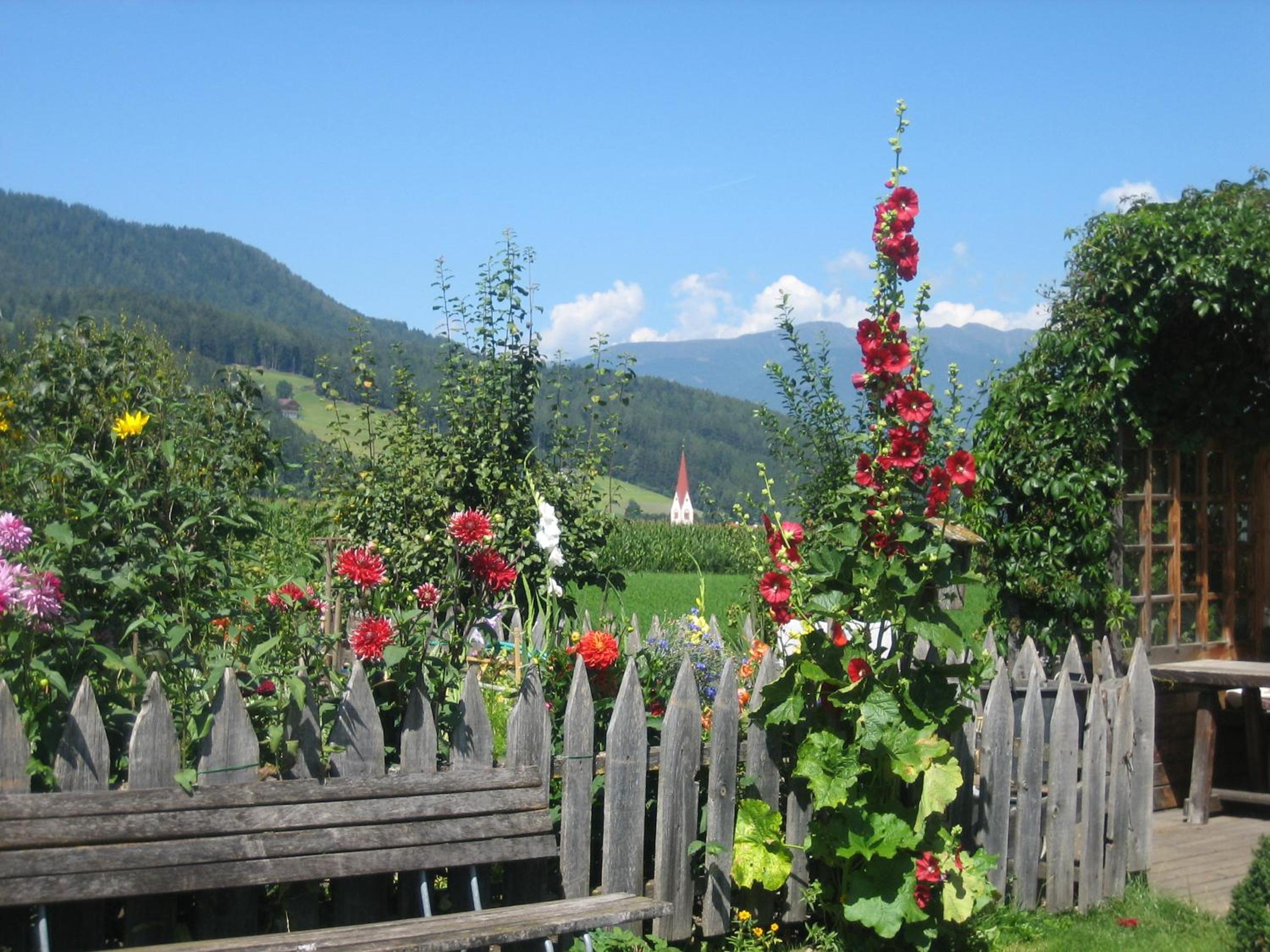 Photo 21
