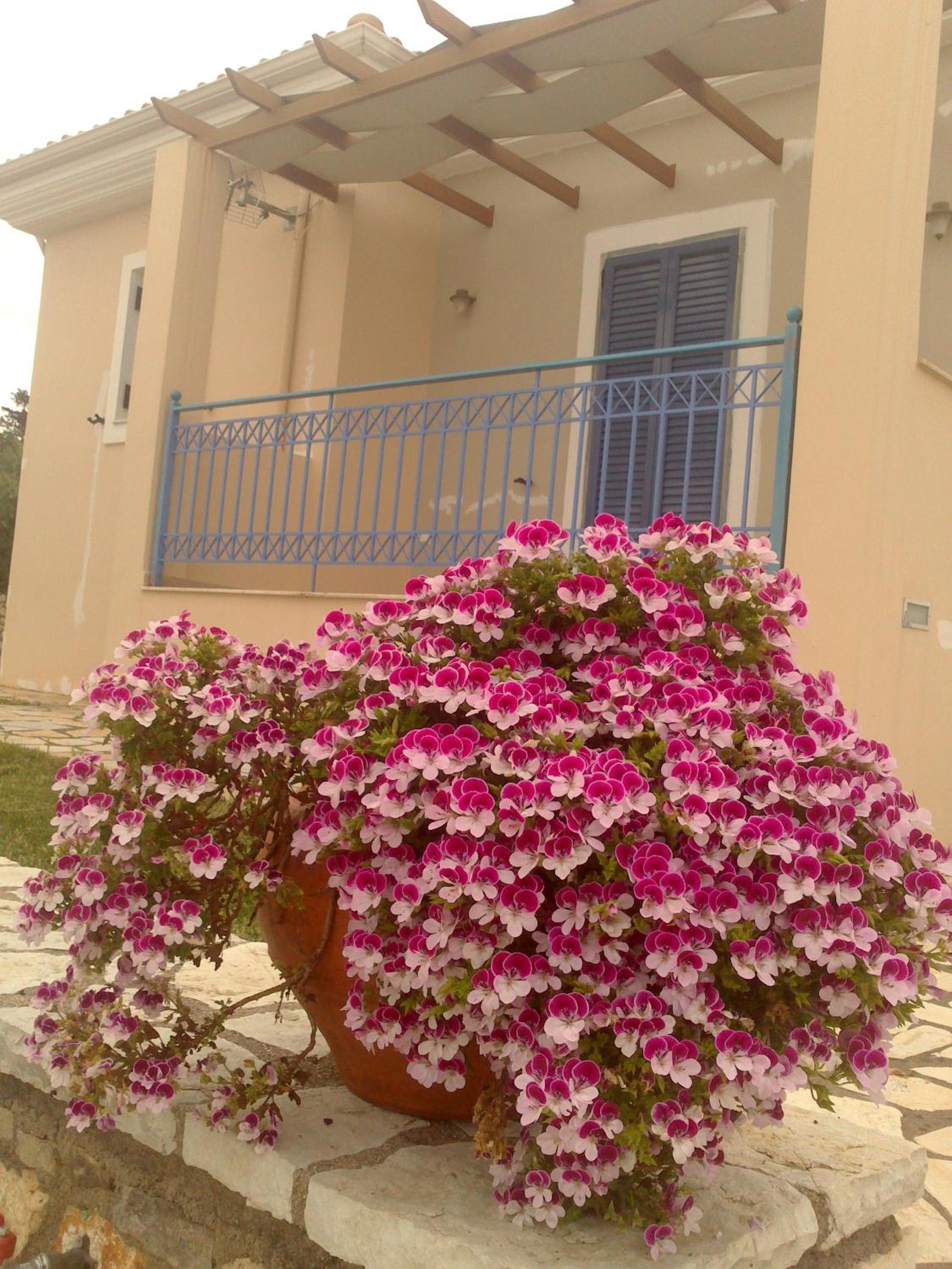 Polikarpos Villas