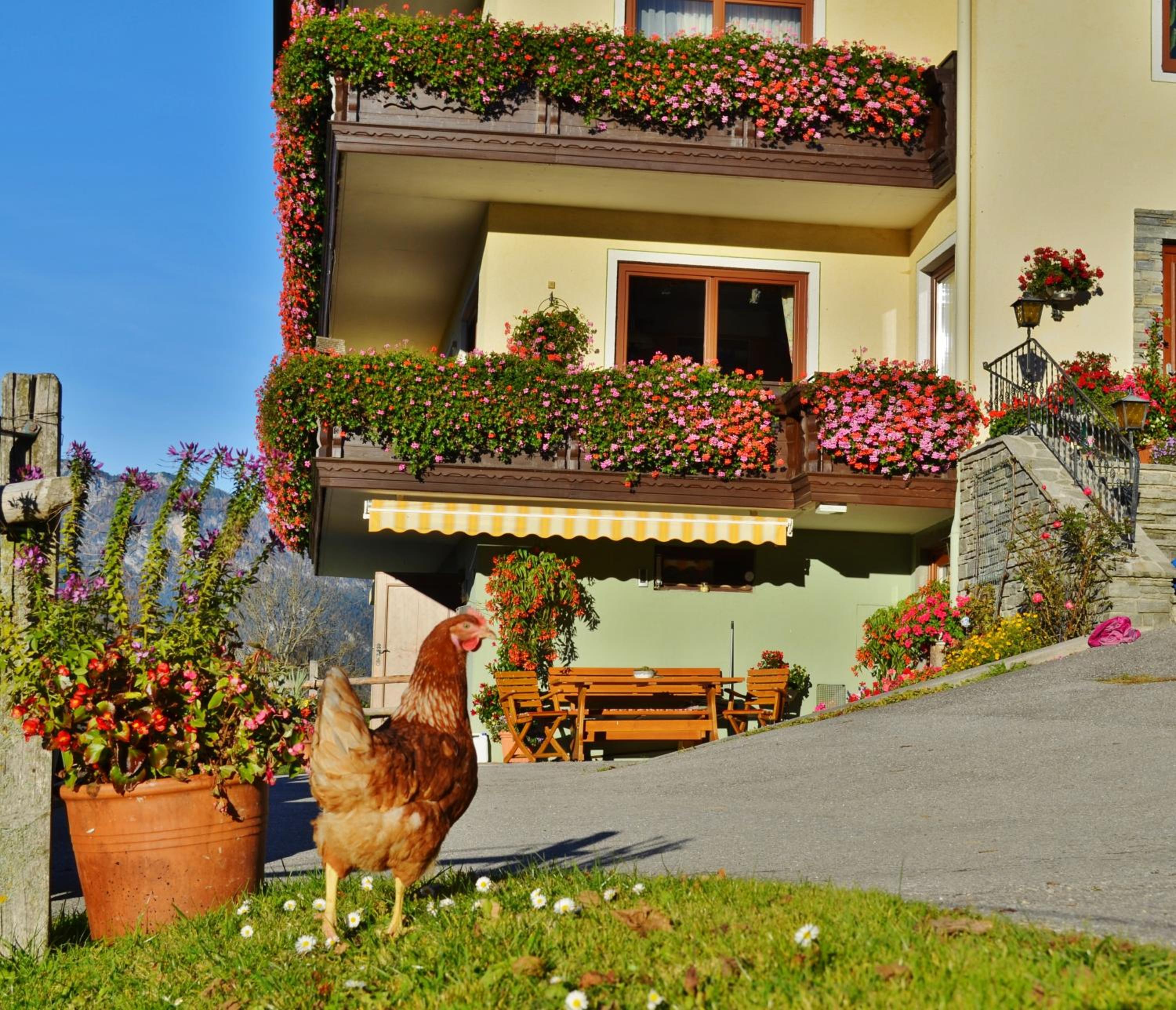 Pension Spreitzhof & Appartement Royer