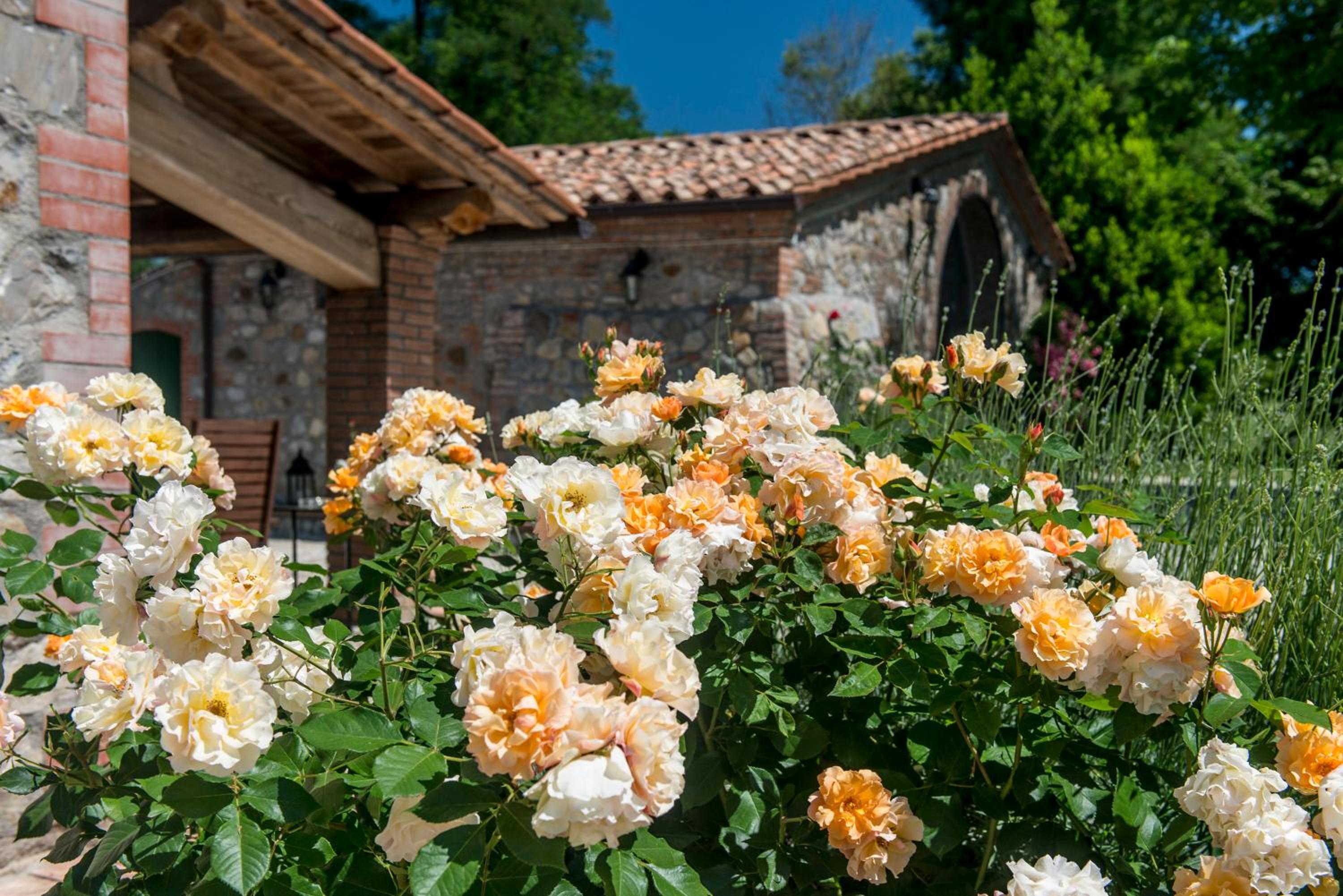 Agriturismo I Gergoni view 5