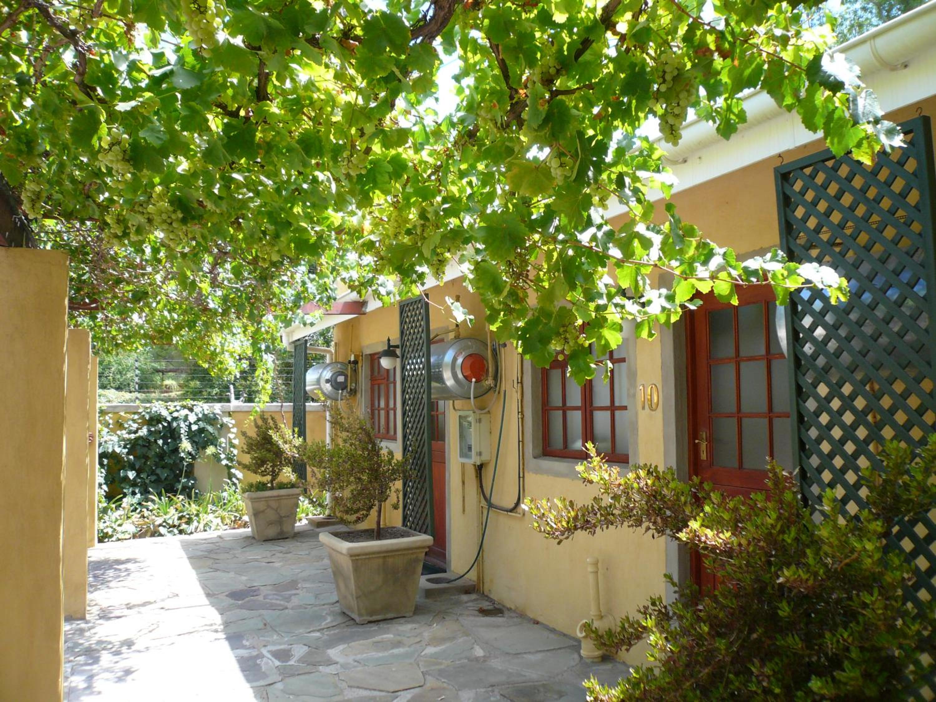 17 on Bird Guest House