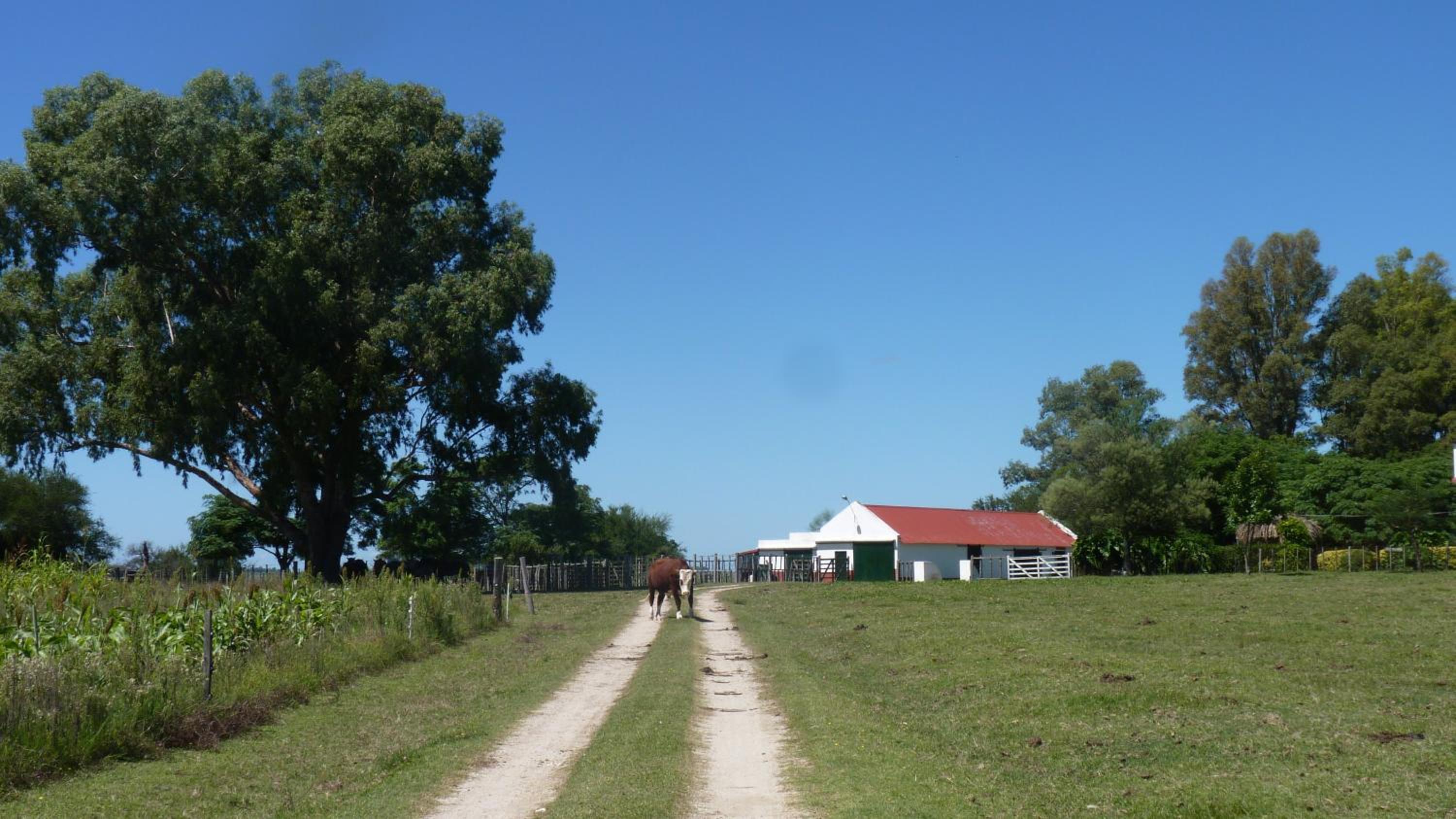 Photo 100