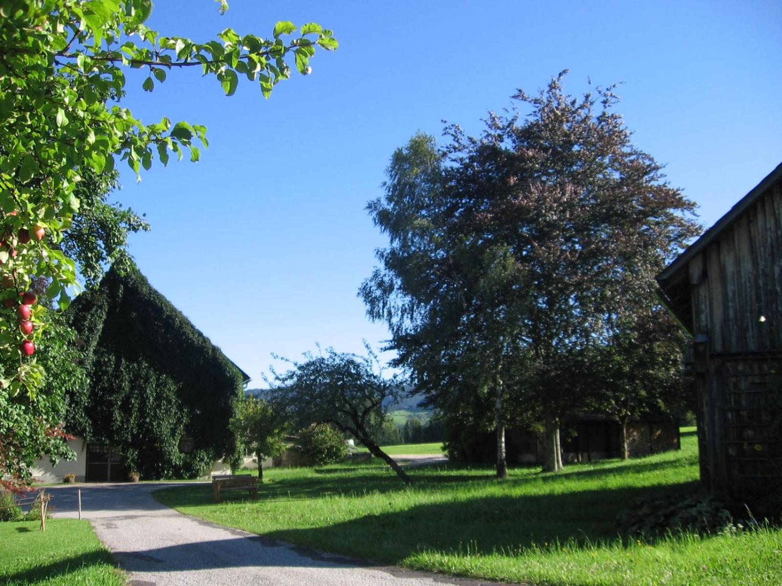 Lassingbauer view 5