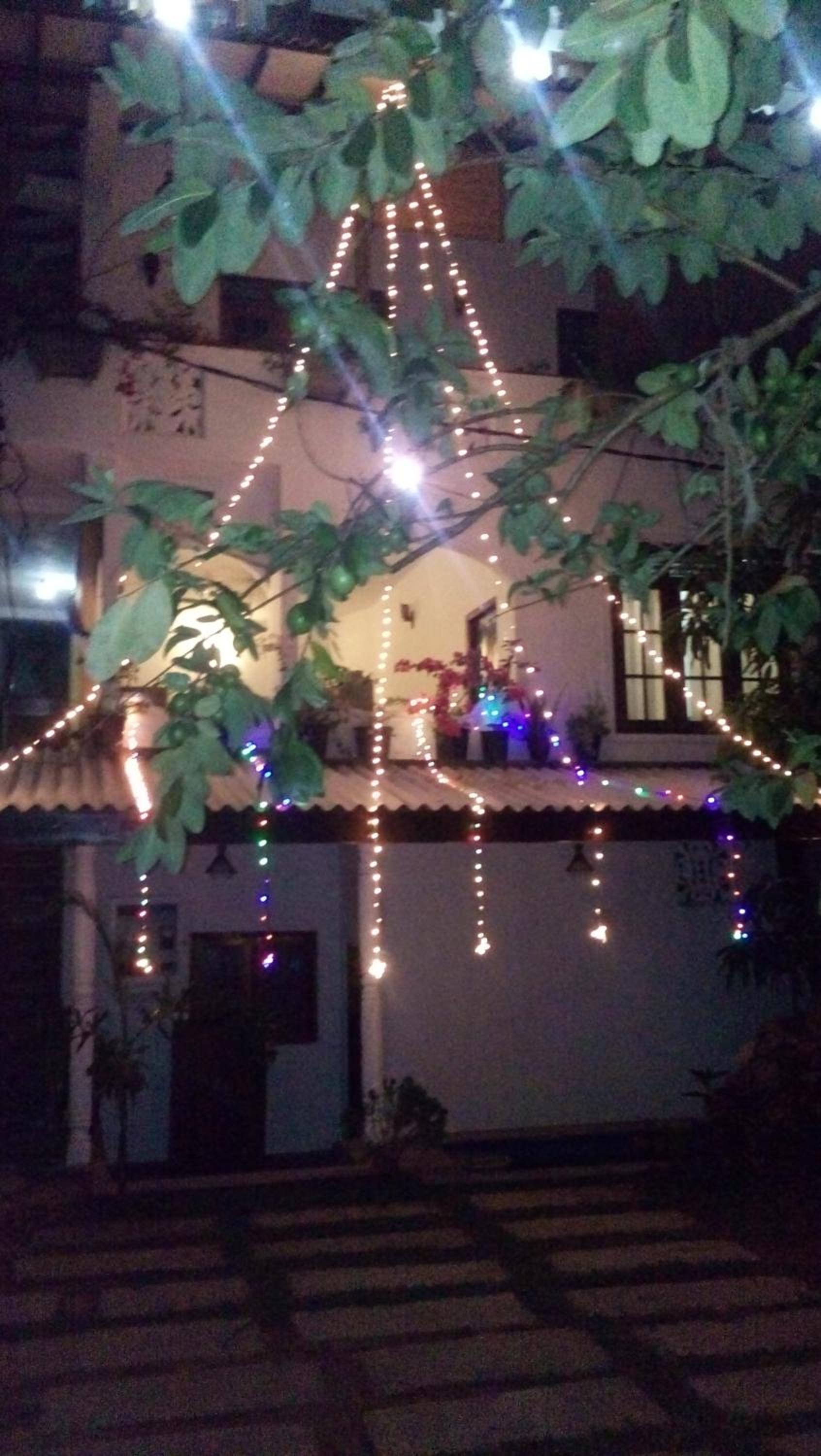 Photo 47