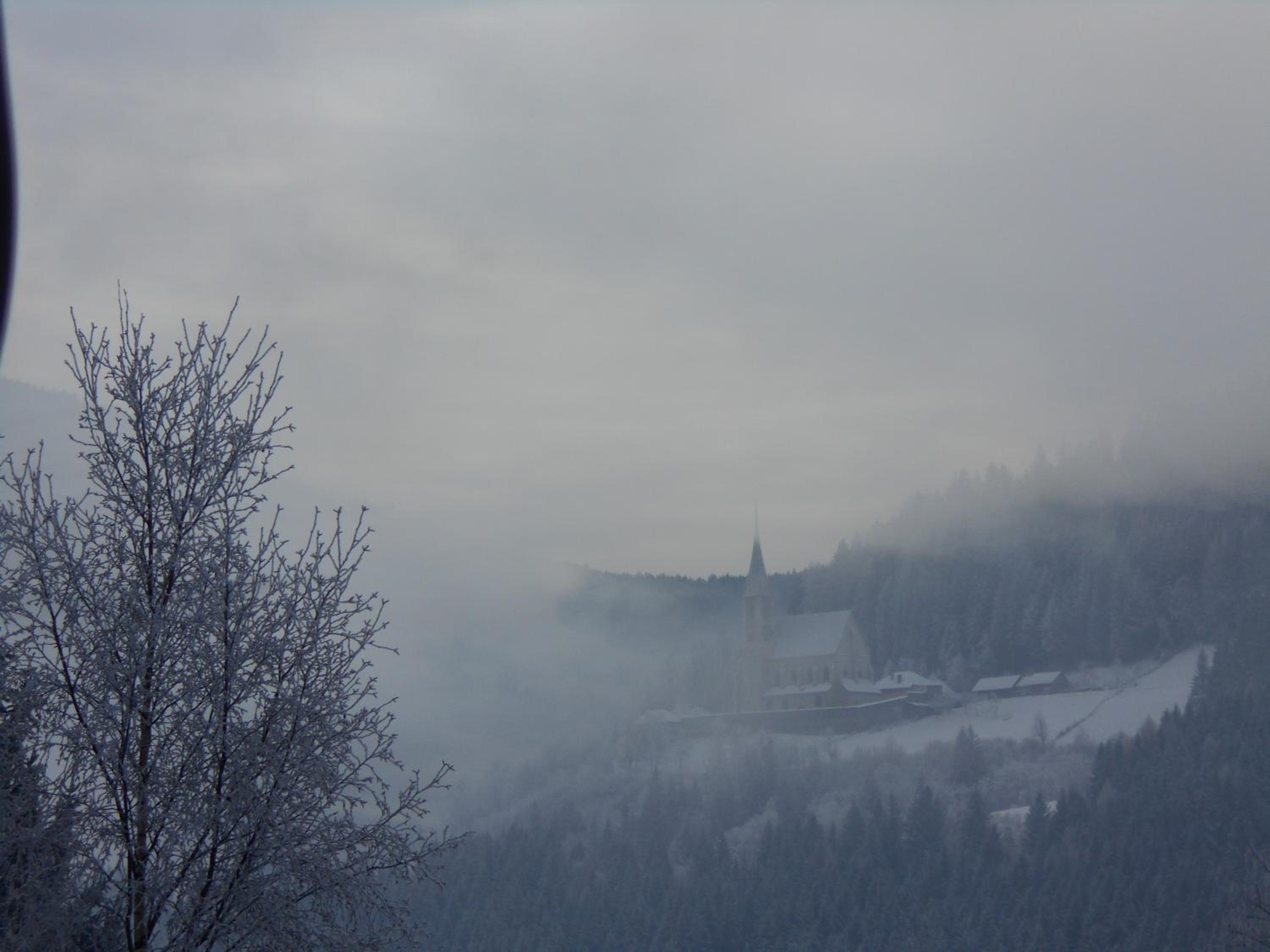 Pöllitzer Hollnhof view 4