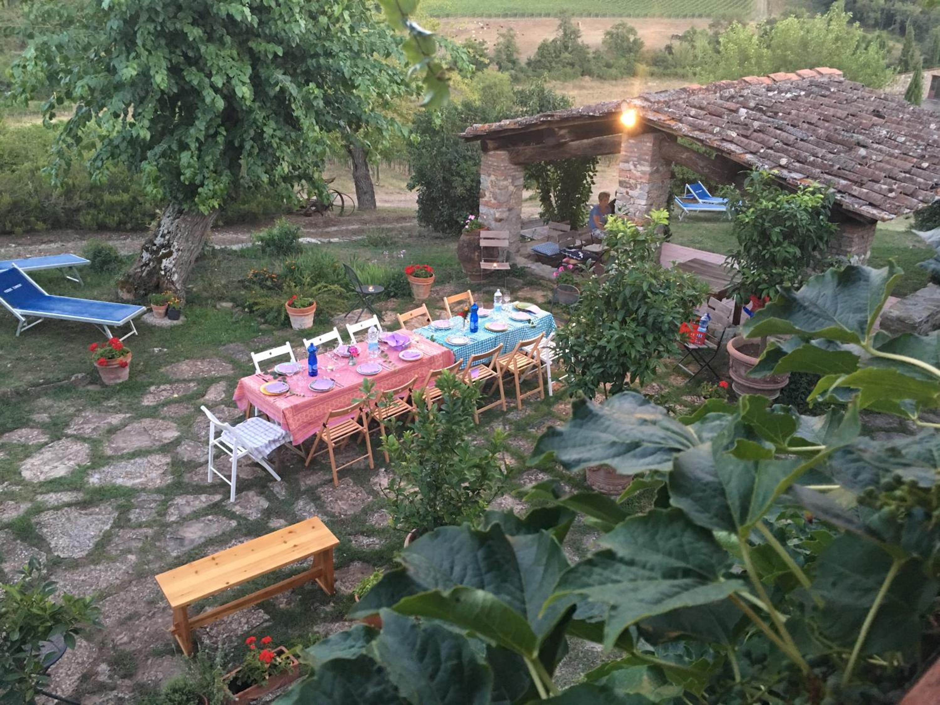 Radda in Chianti Vacations - Podere Terreno alla via della volpaia - Property Image 81