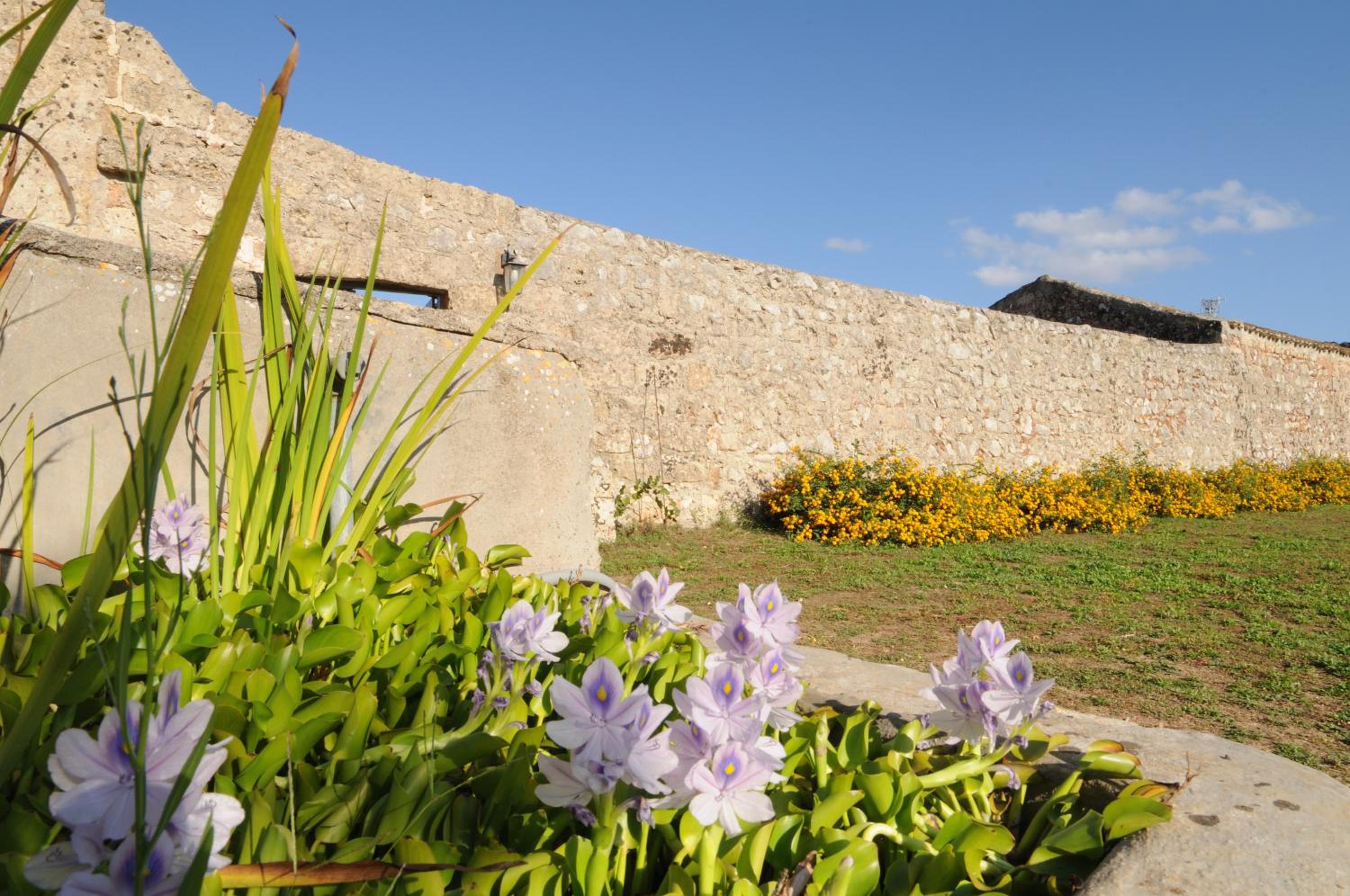 Masseria Uccio