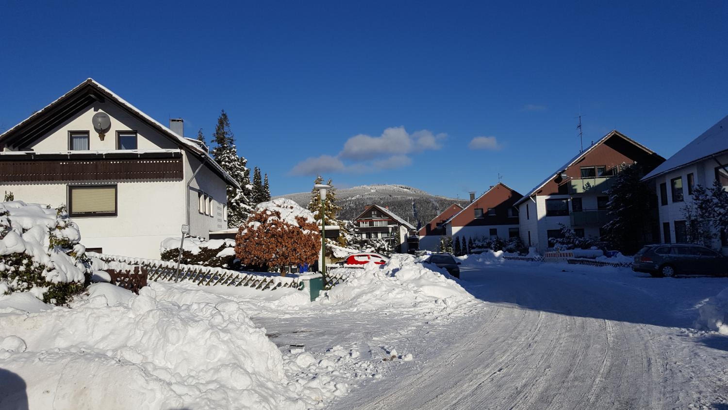 Harz Blick