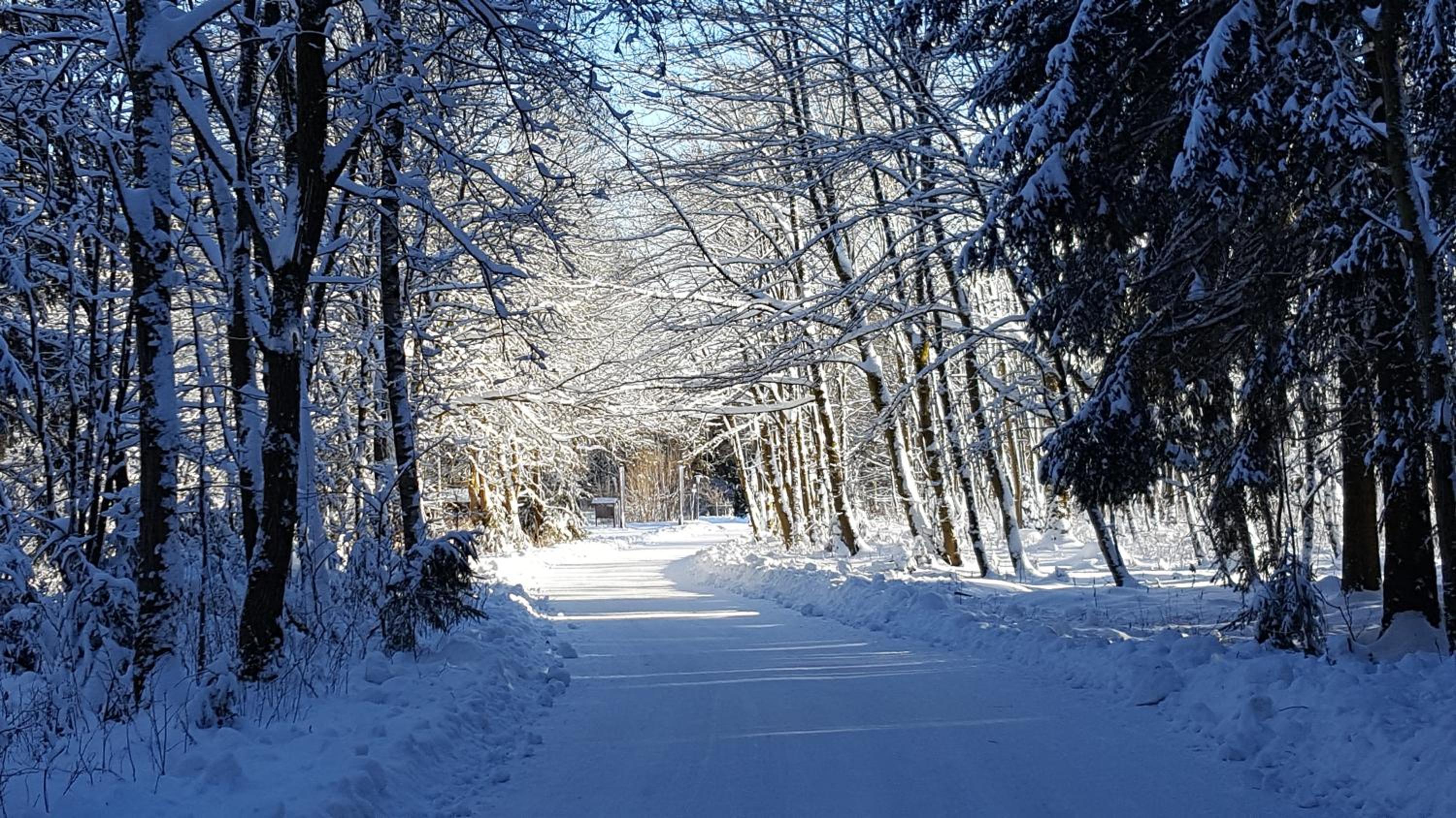 Harz Blick