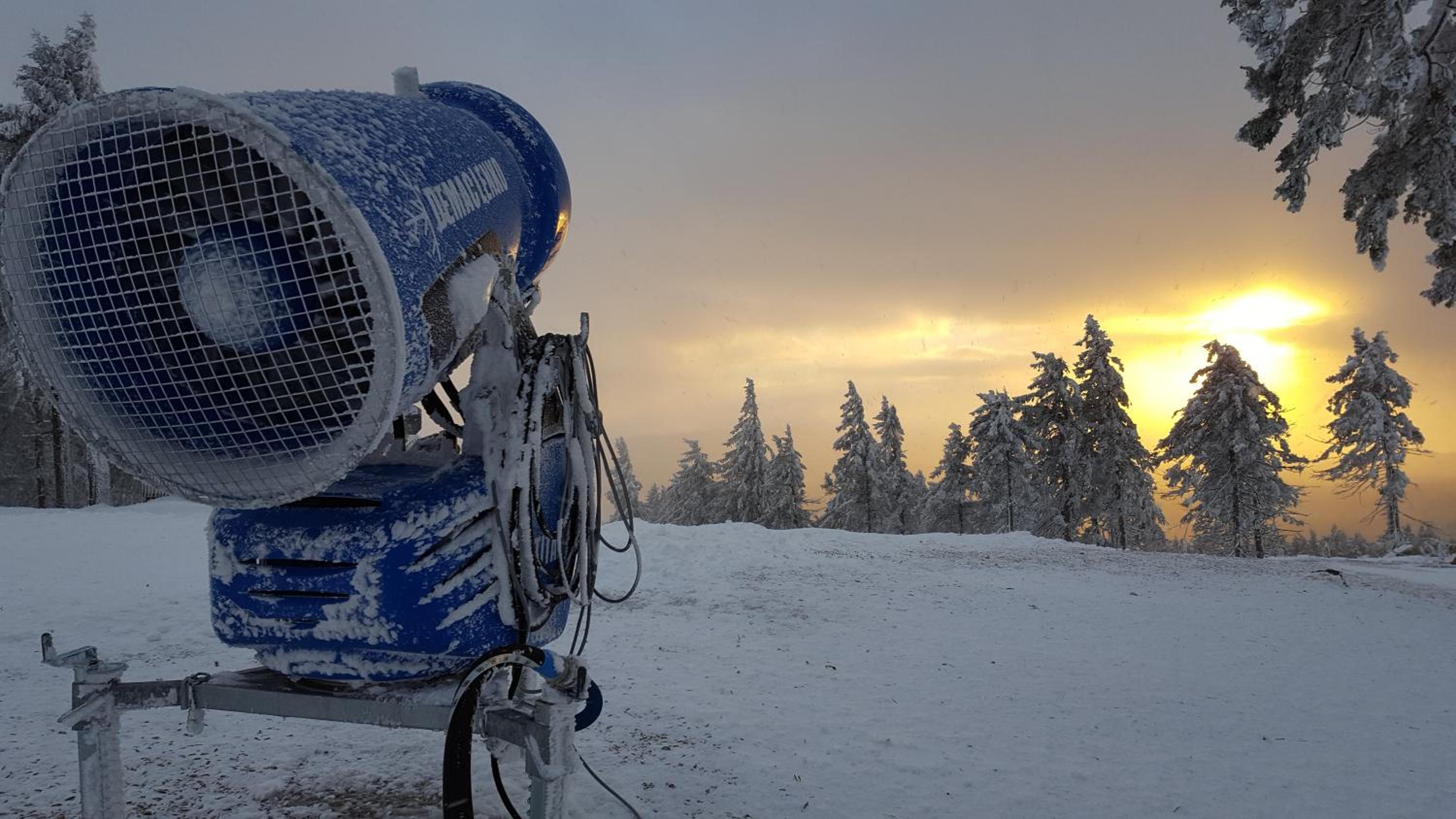 Harz Blick