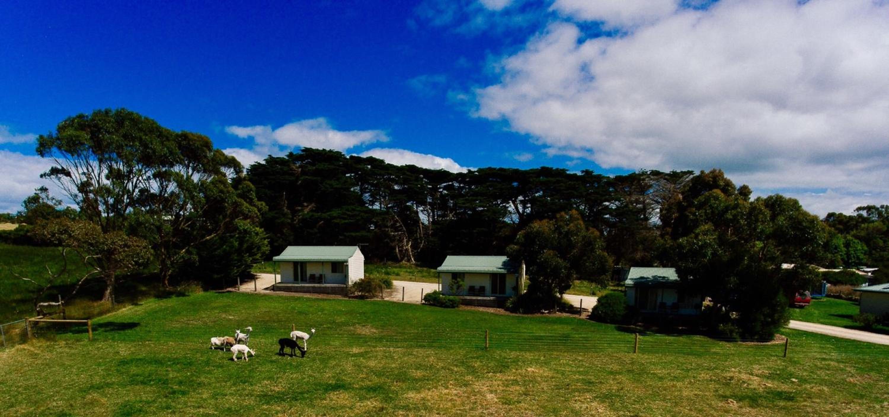 Promhills Cabins