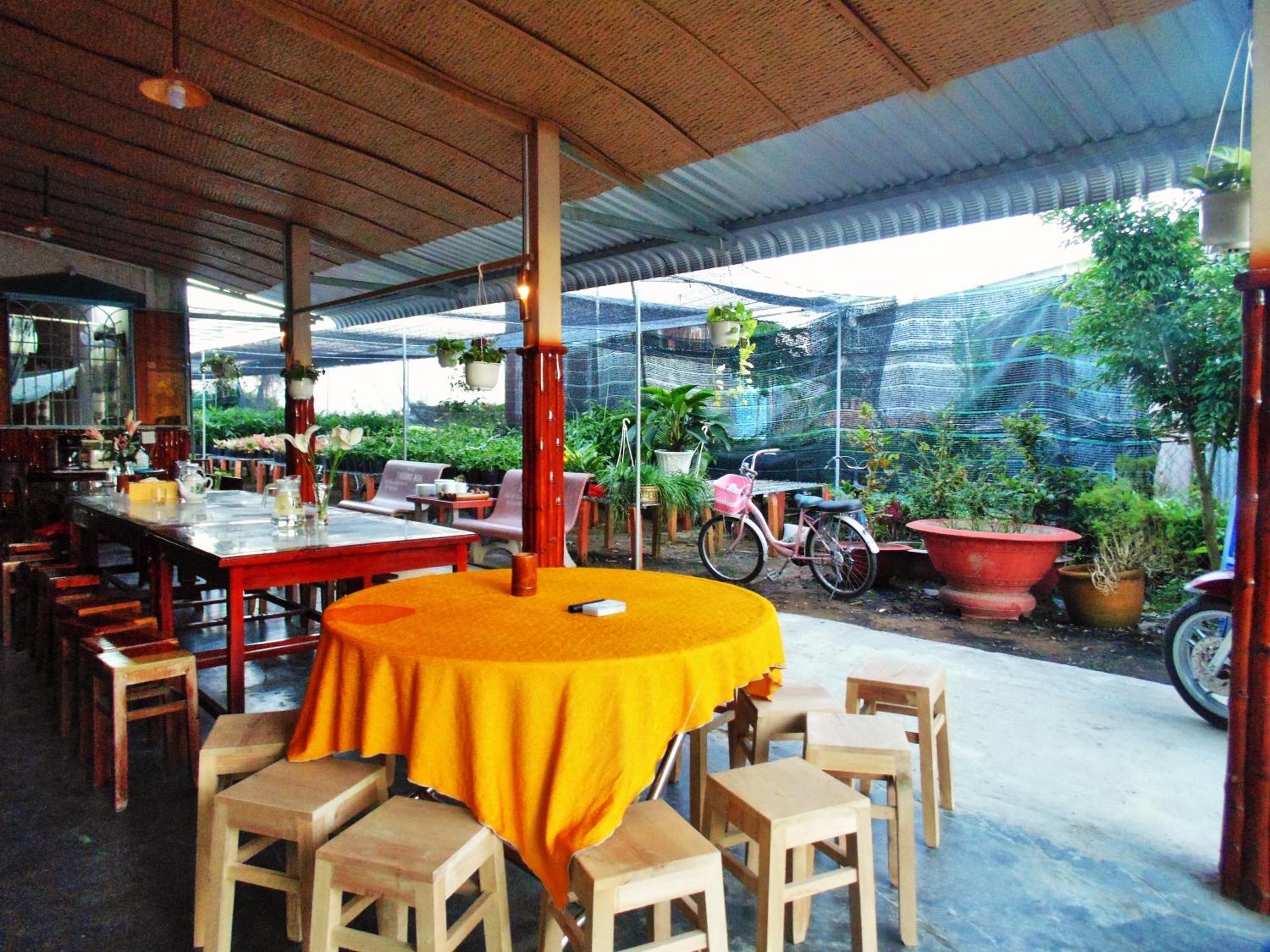 Flower & Frog Homestay