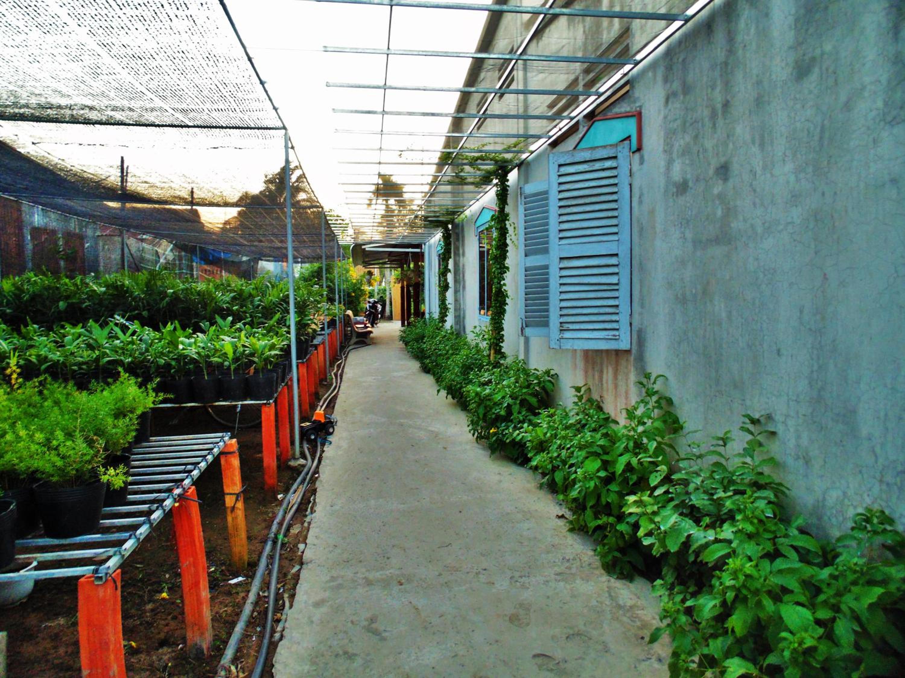 Flower & Frog Homestay