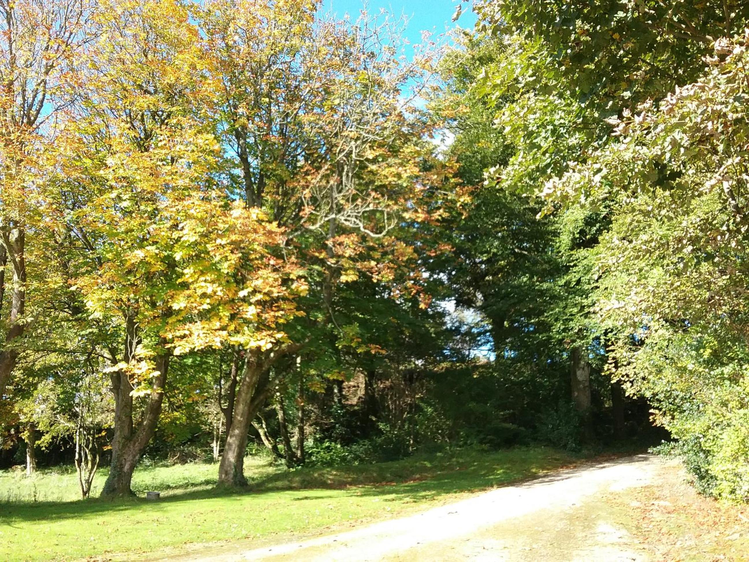 Willowfarmhouse view 3