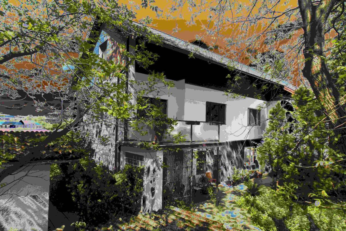 Walnut Tree House view 3