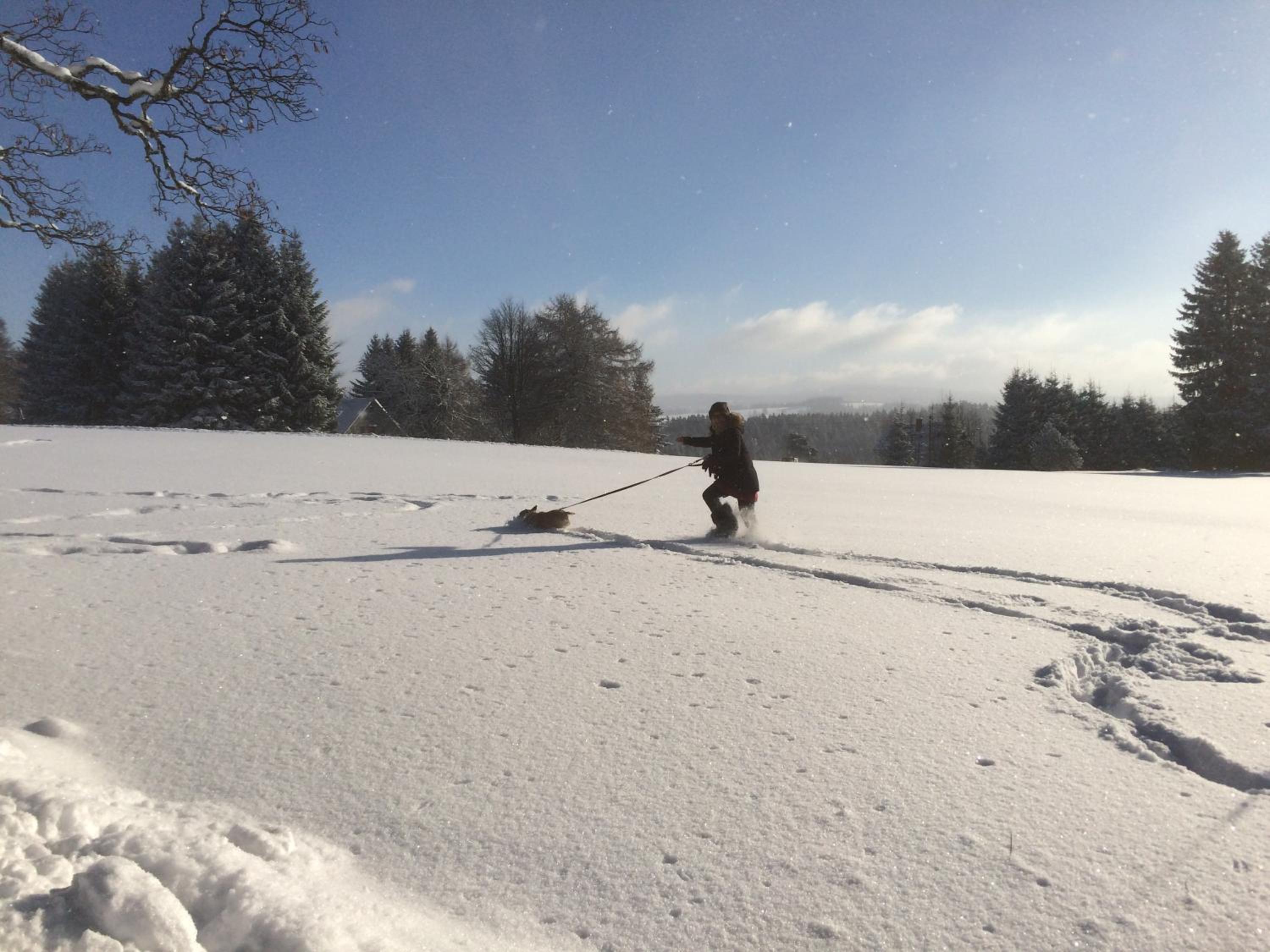 Ferienhaus Berghütte Vogtland in Klingenthal