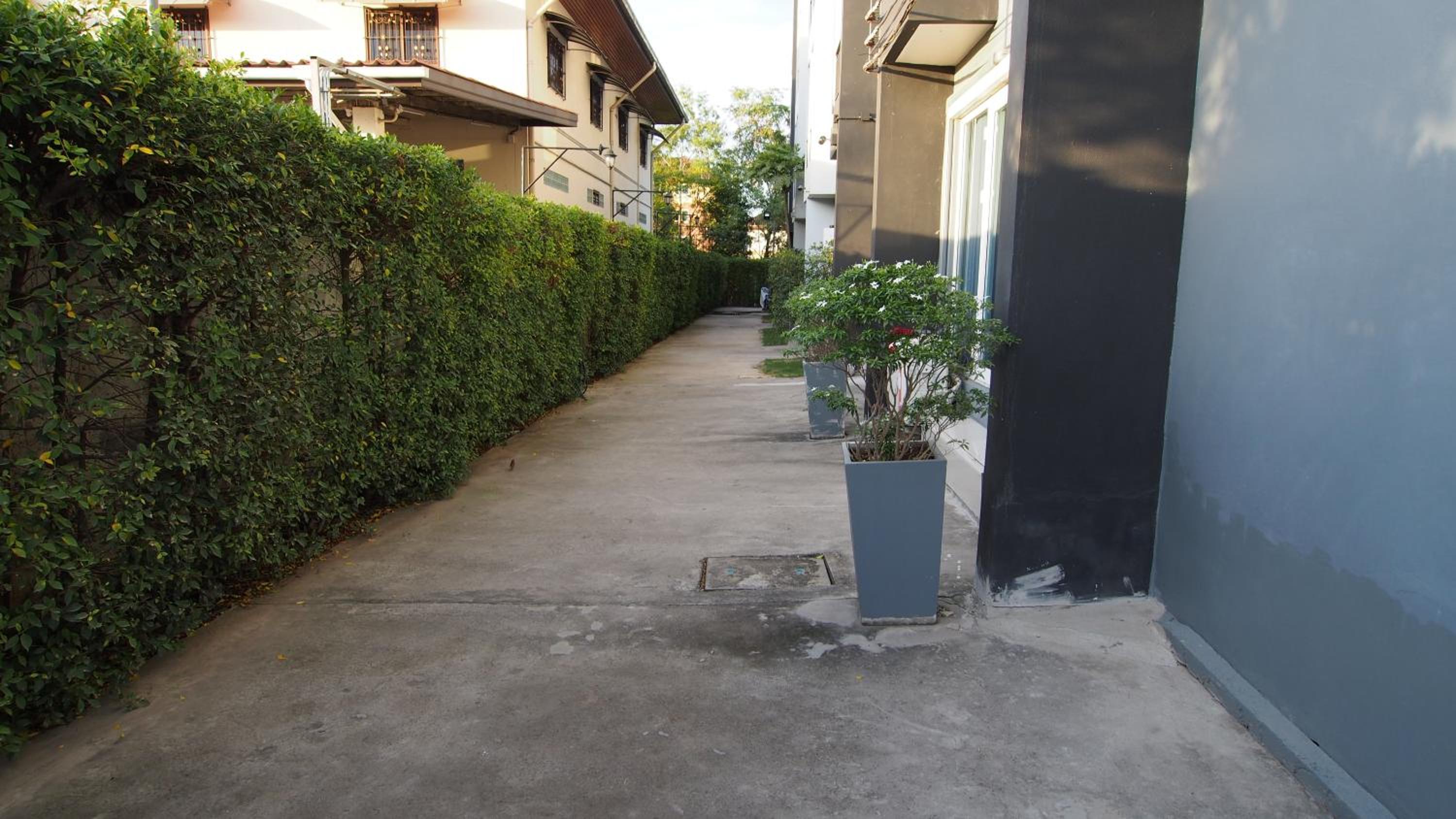 Photo 42