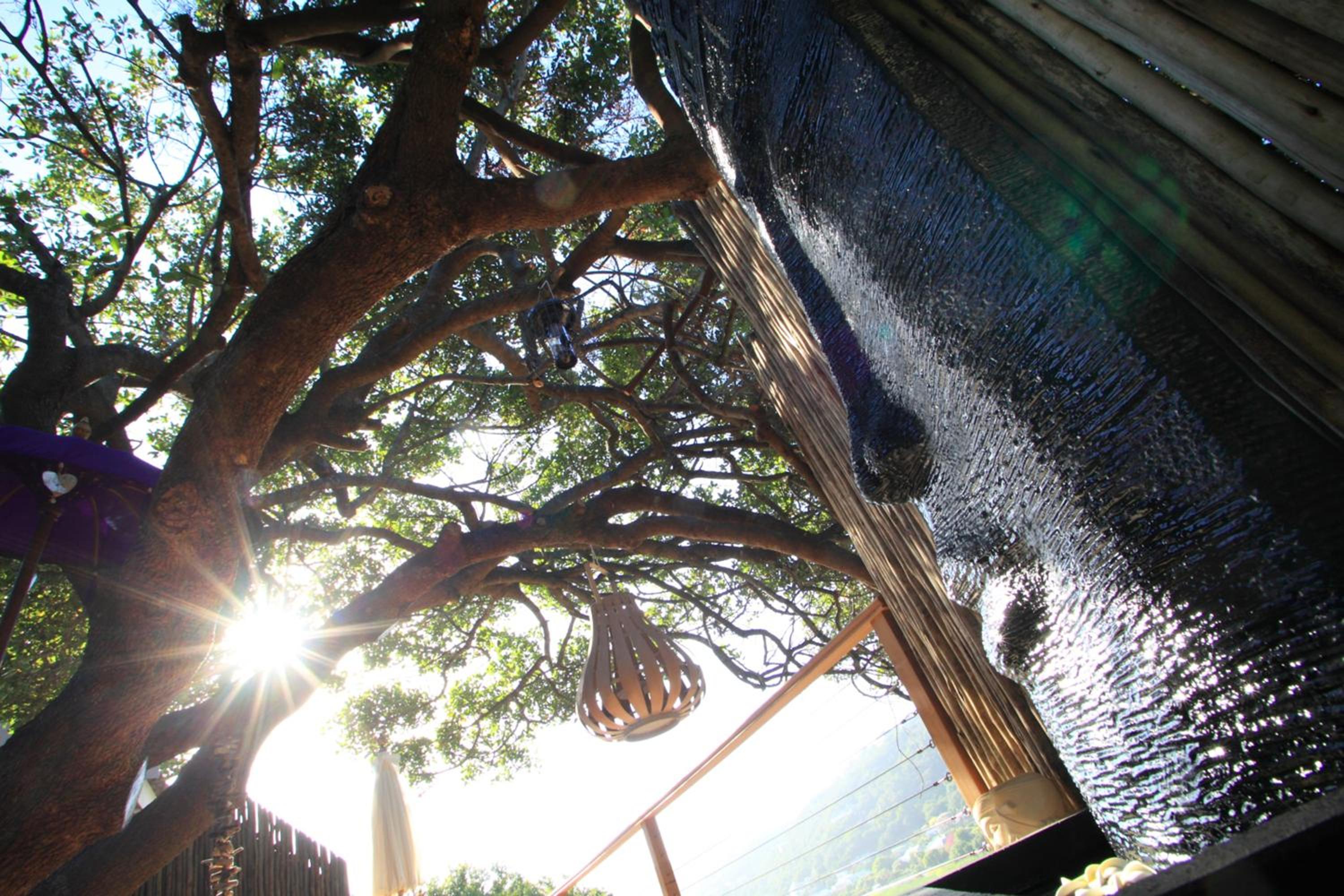 Pearl Moon Boutique Suites, photo 90