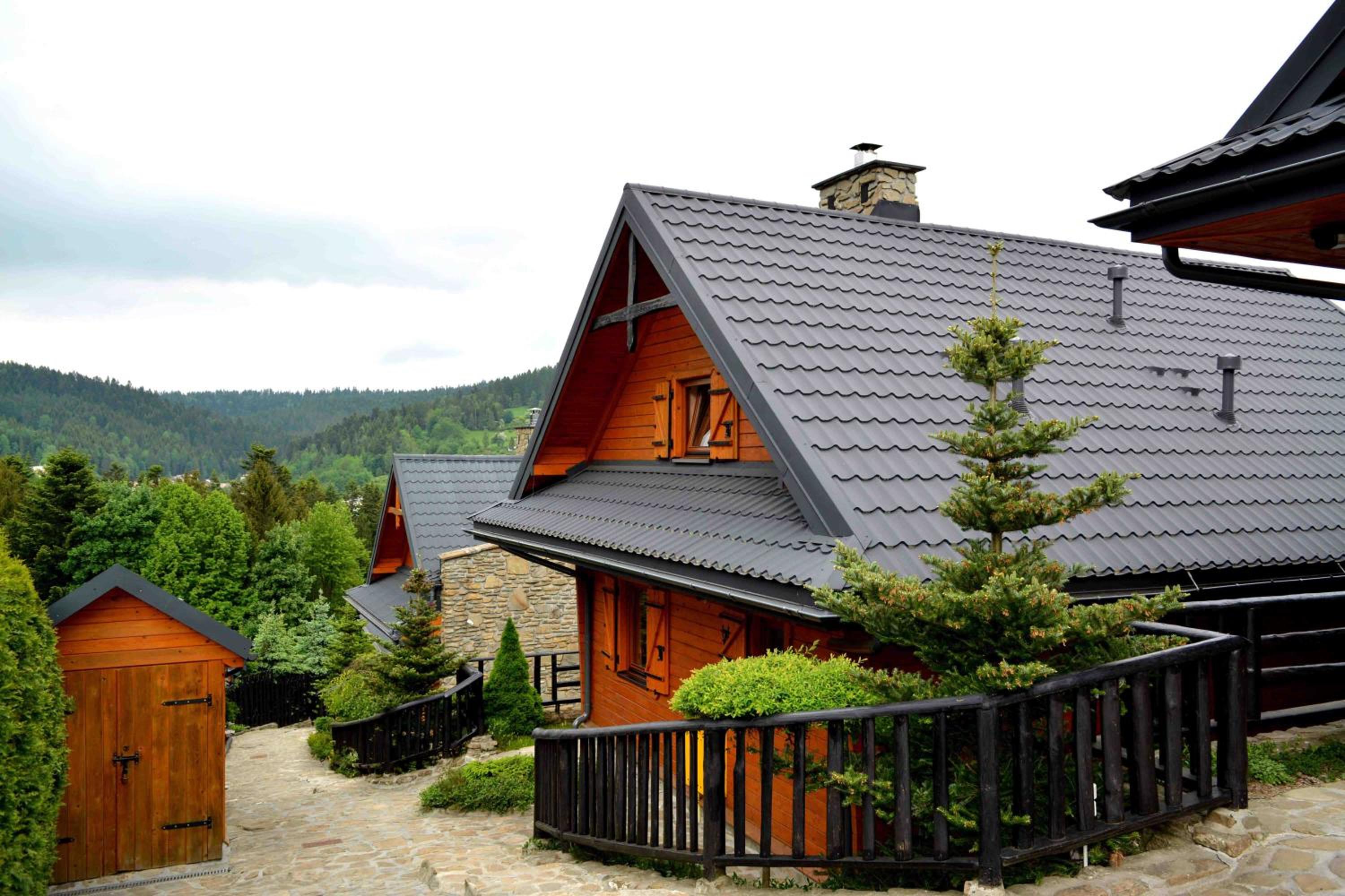 Alpejskie Domy Ski House view 4