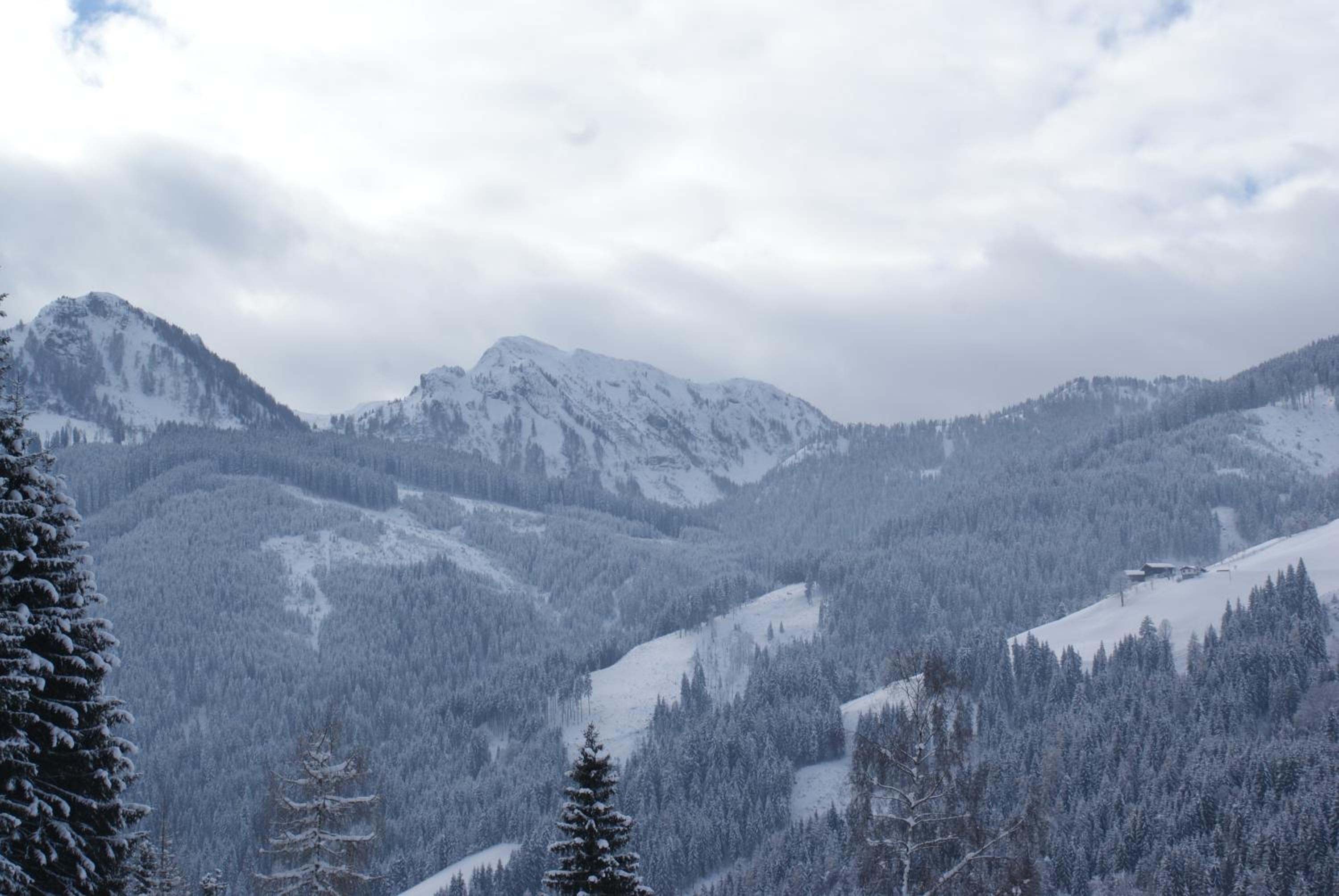 Pension Chalet Bergseegut