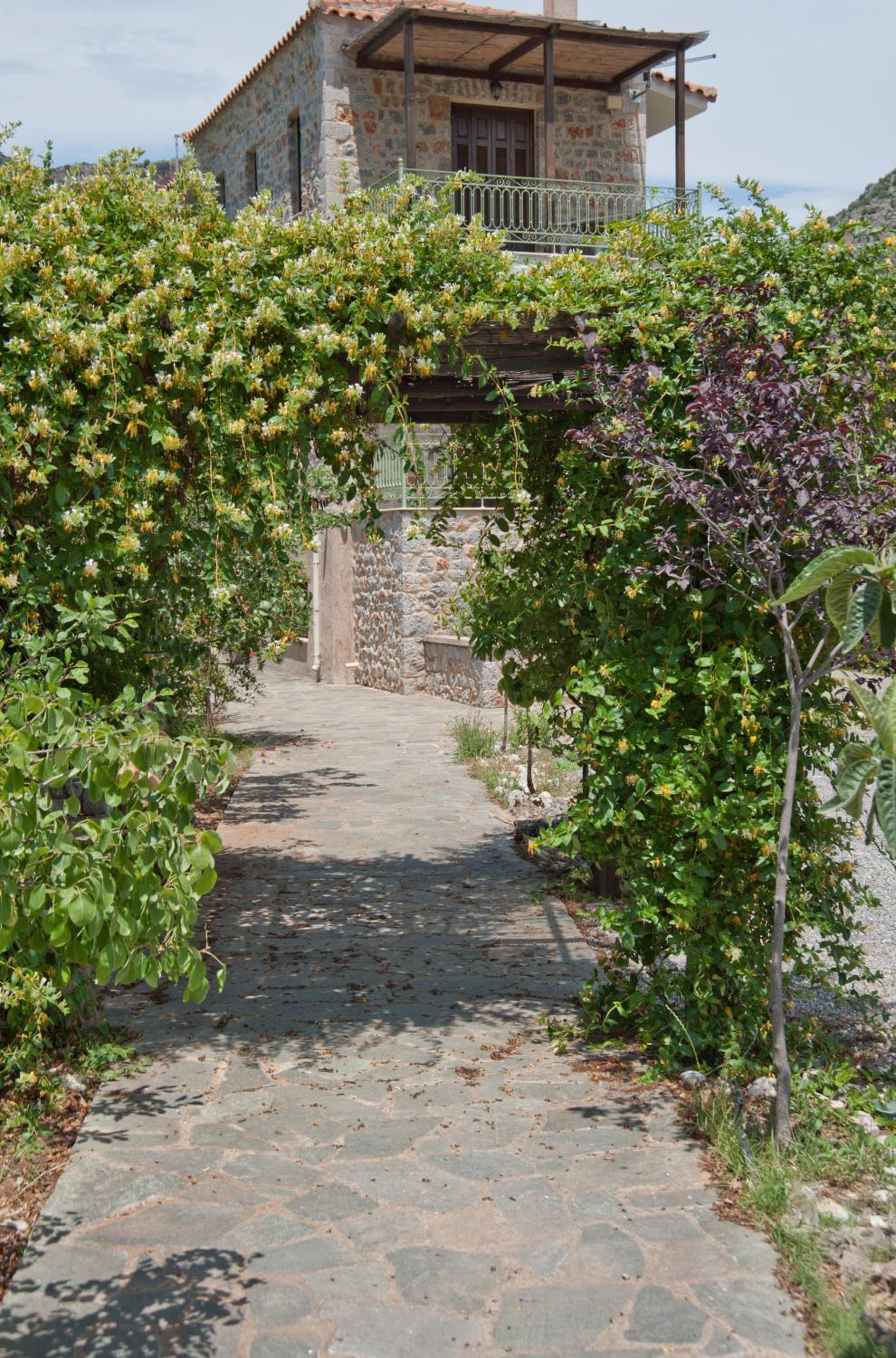 Photo 44