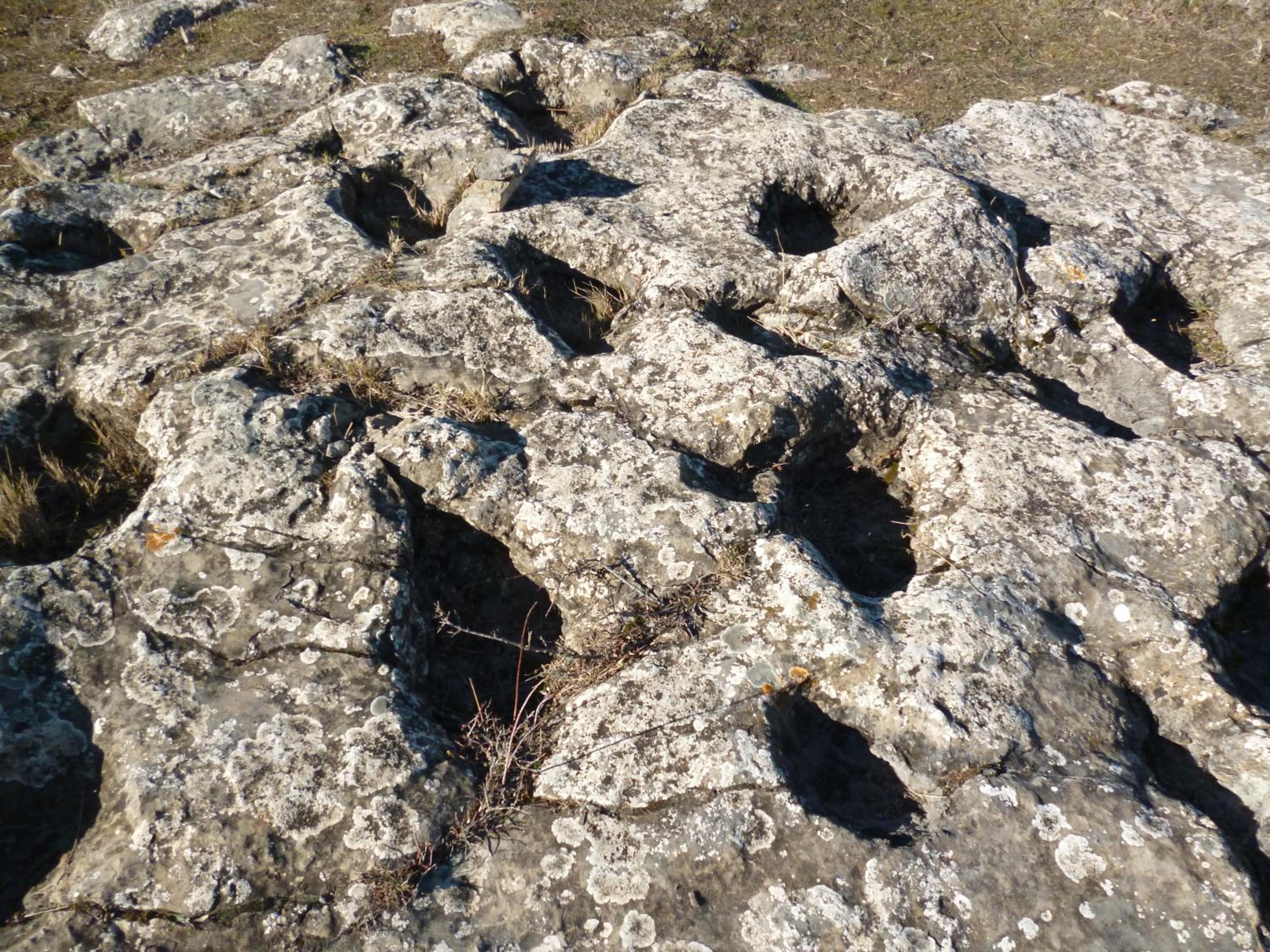 Casasdetrevijano Cañon del rio leza