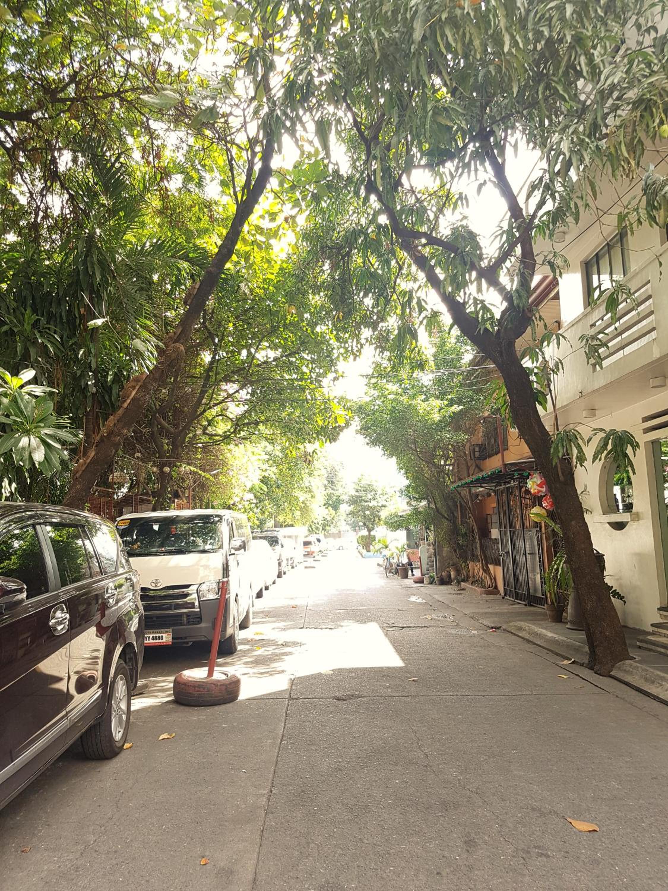 Photo 44