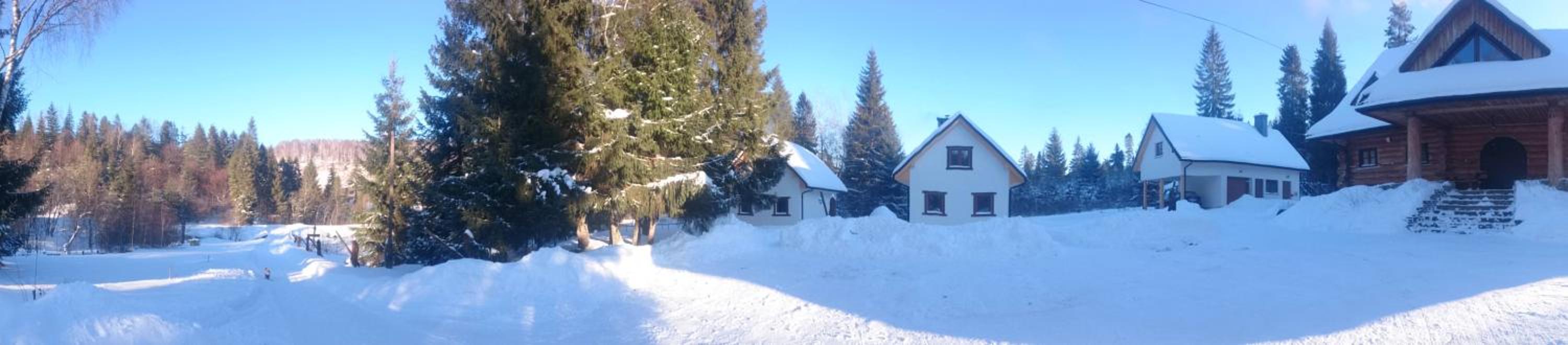 Photo 44
