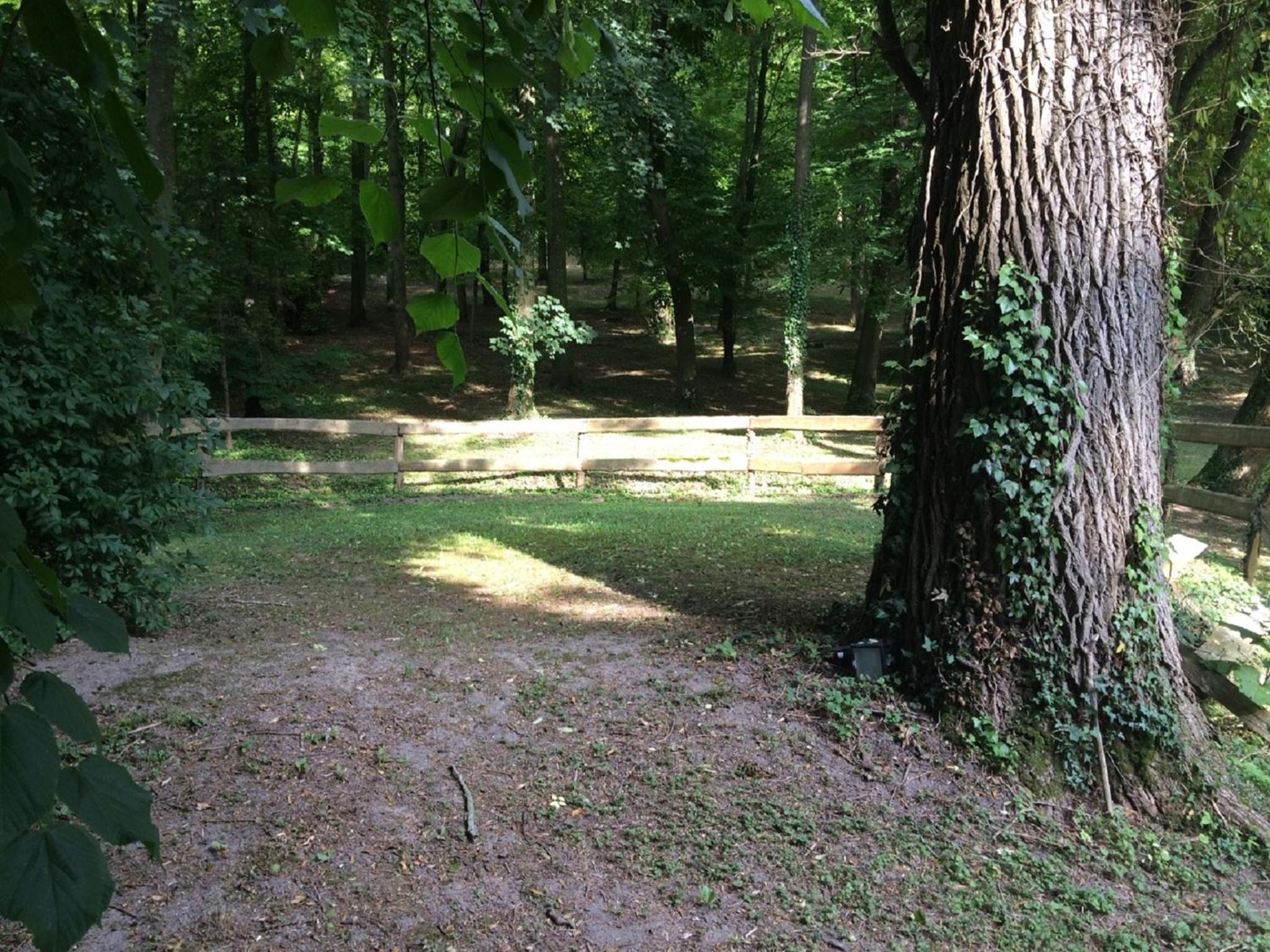 Photo 25