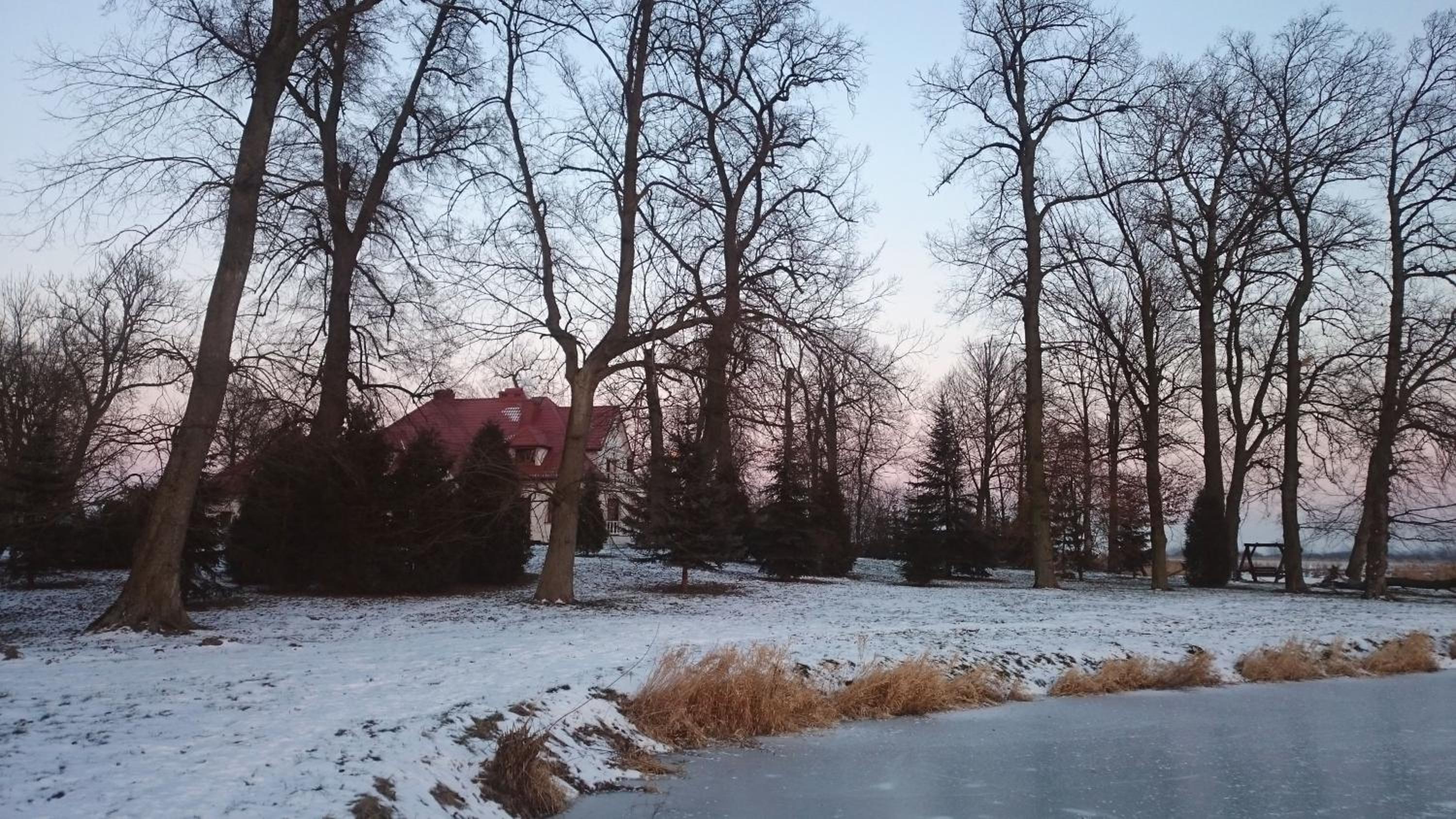 Photo 41