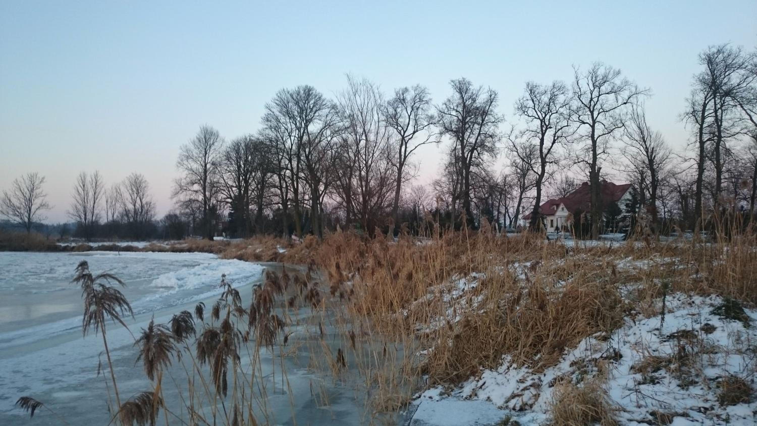 Photo 42