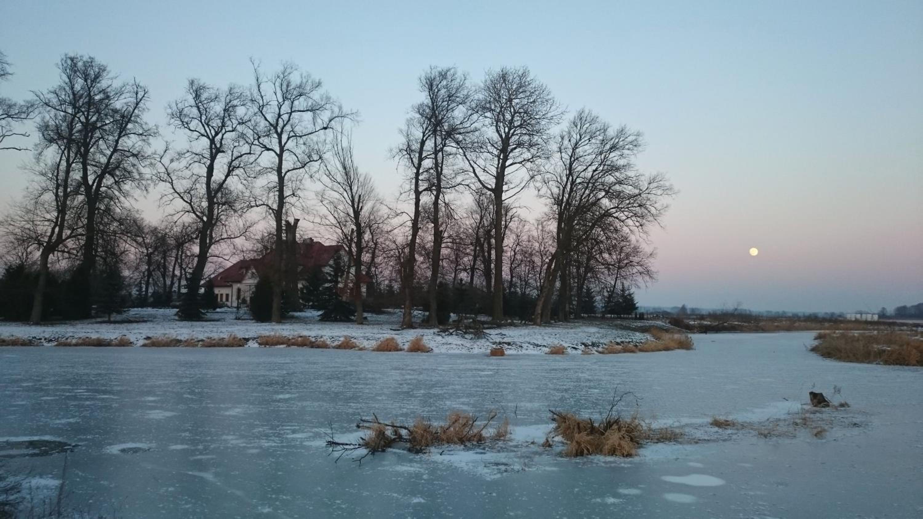 Photo 43
