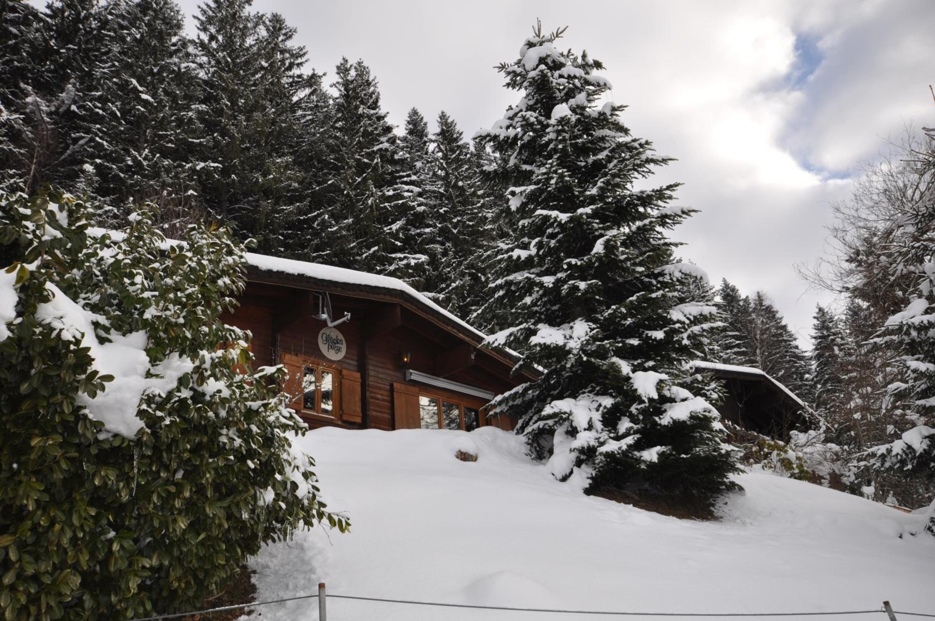 Chalet Edelweiss view 2