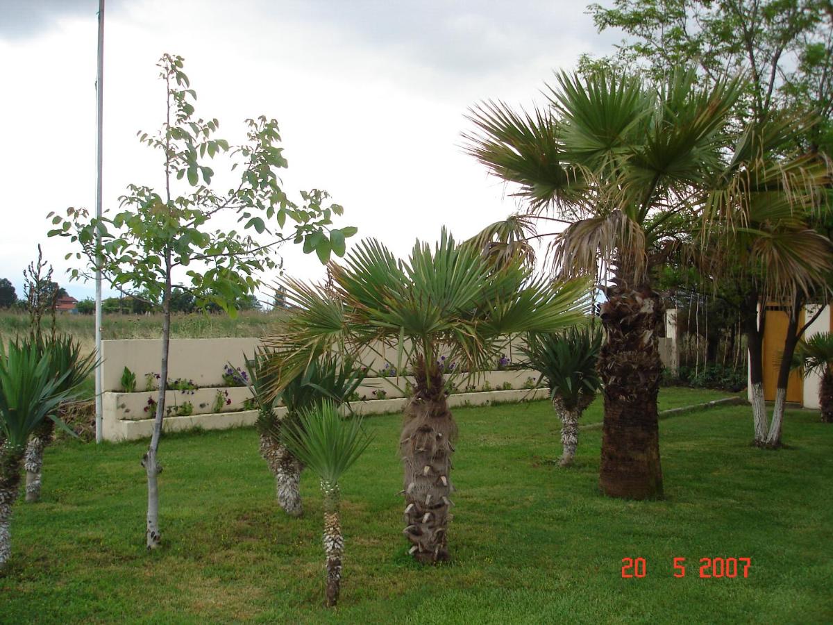garden