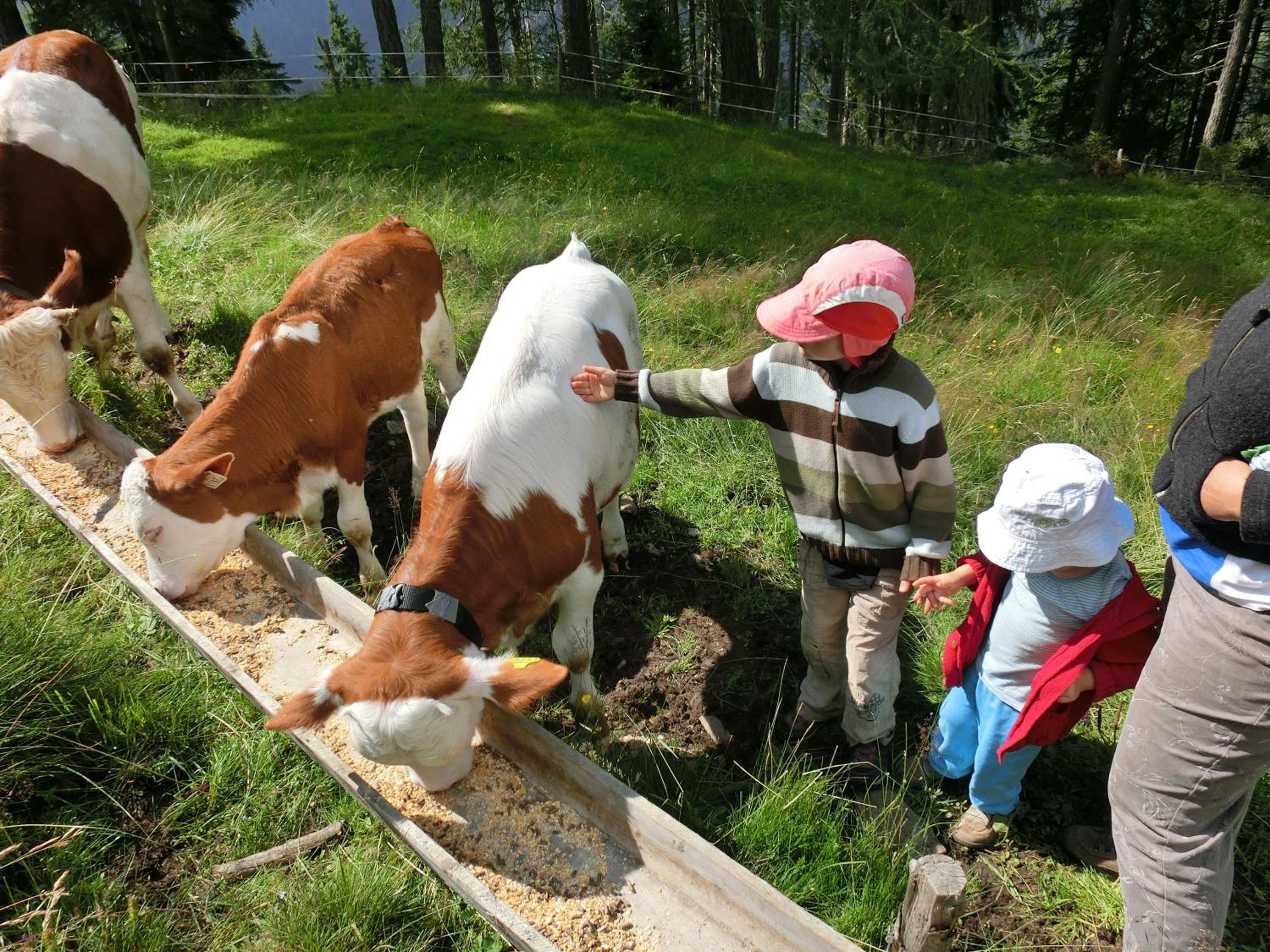 Bergbauernhof Ausserberglet