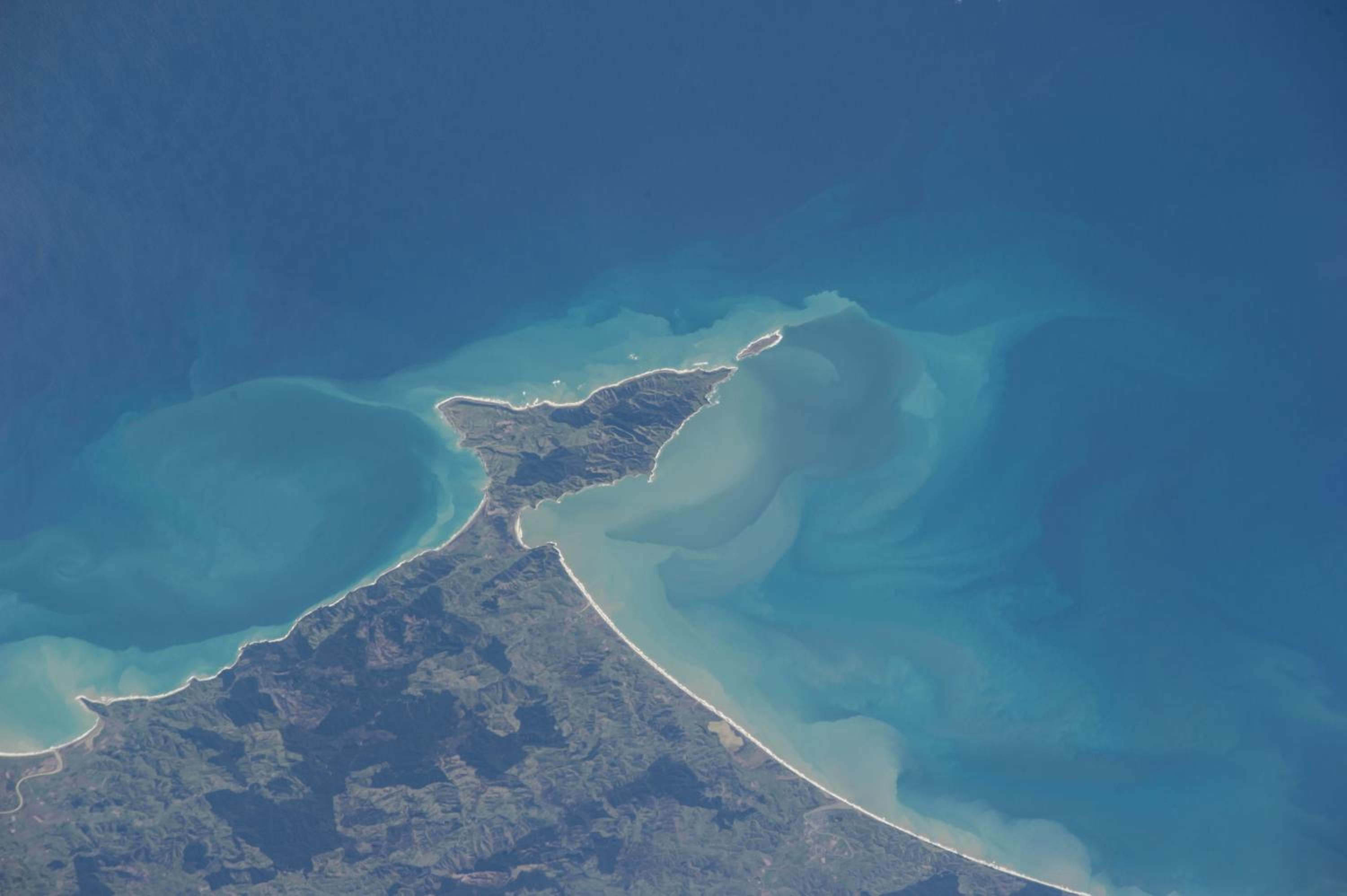 Bella Vista Gisborne, photo 11