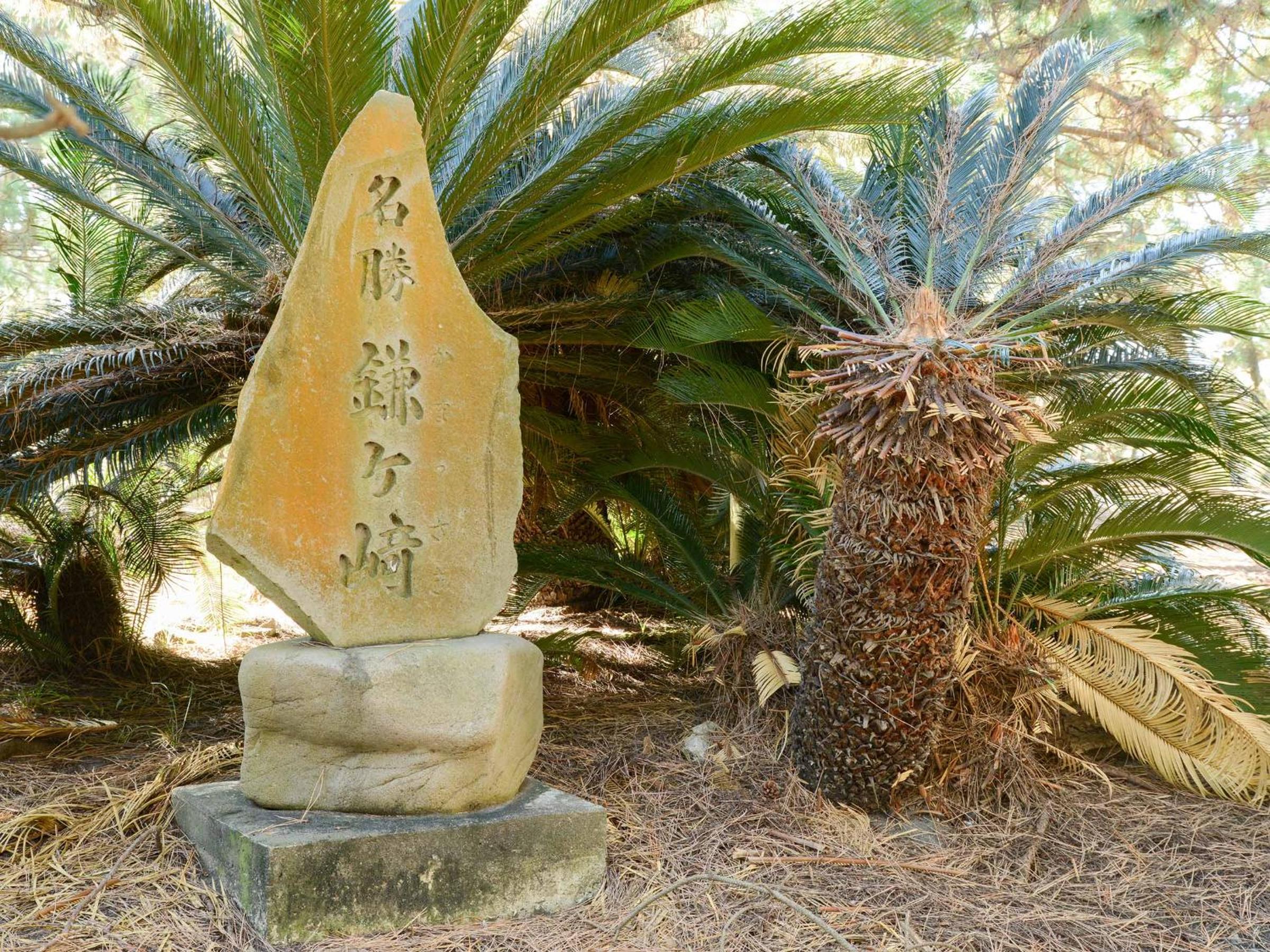 Hotel Hagoromo