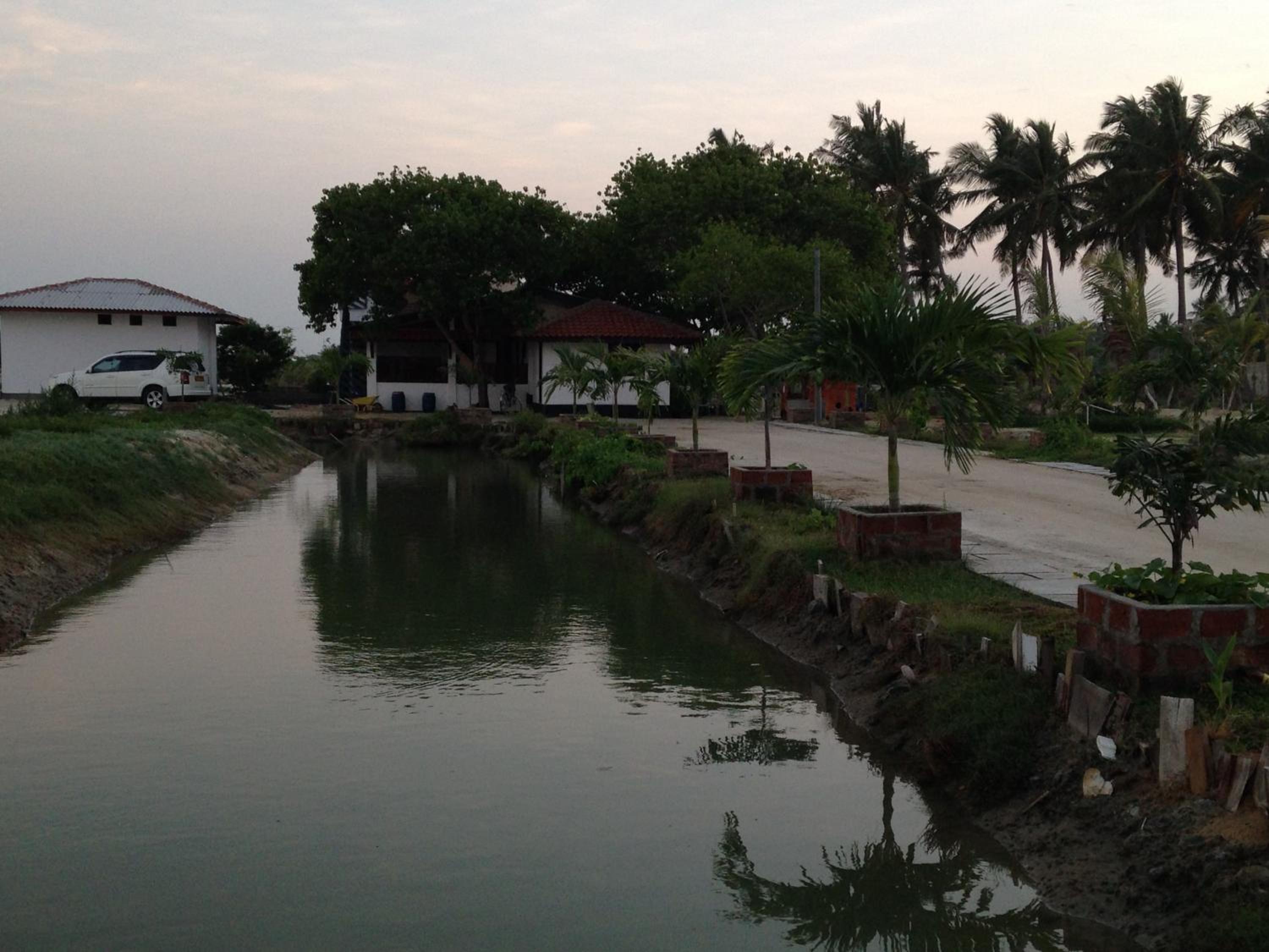 Photo 45