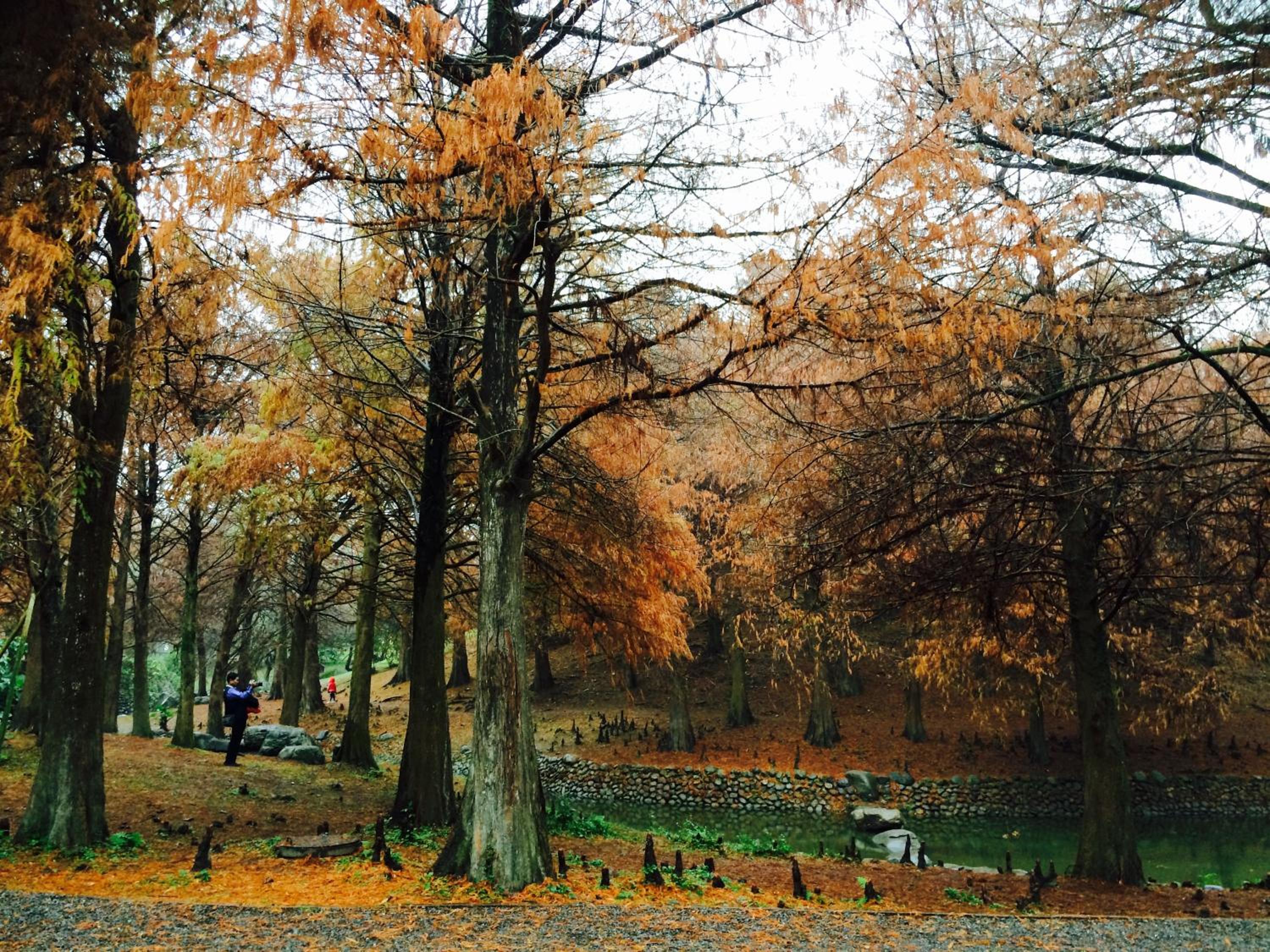 Park 61