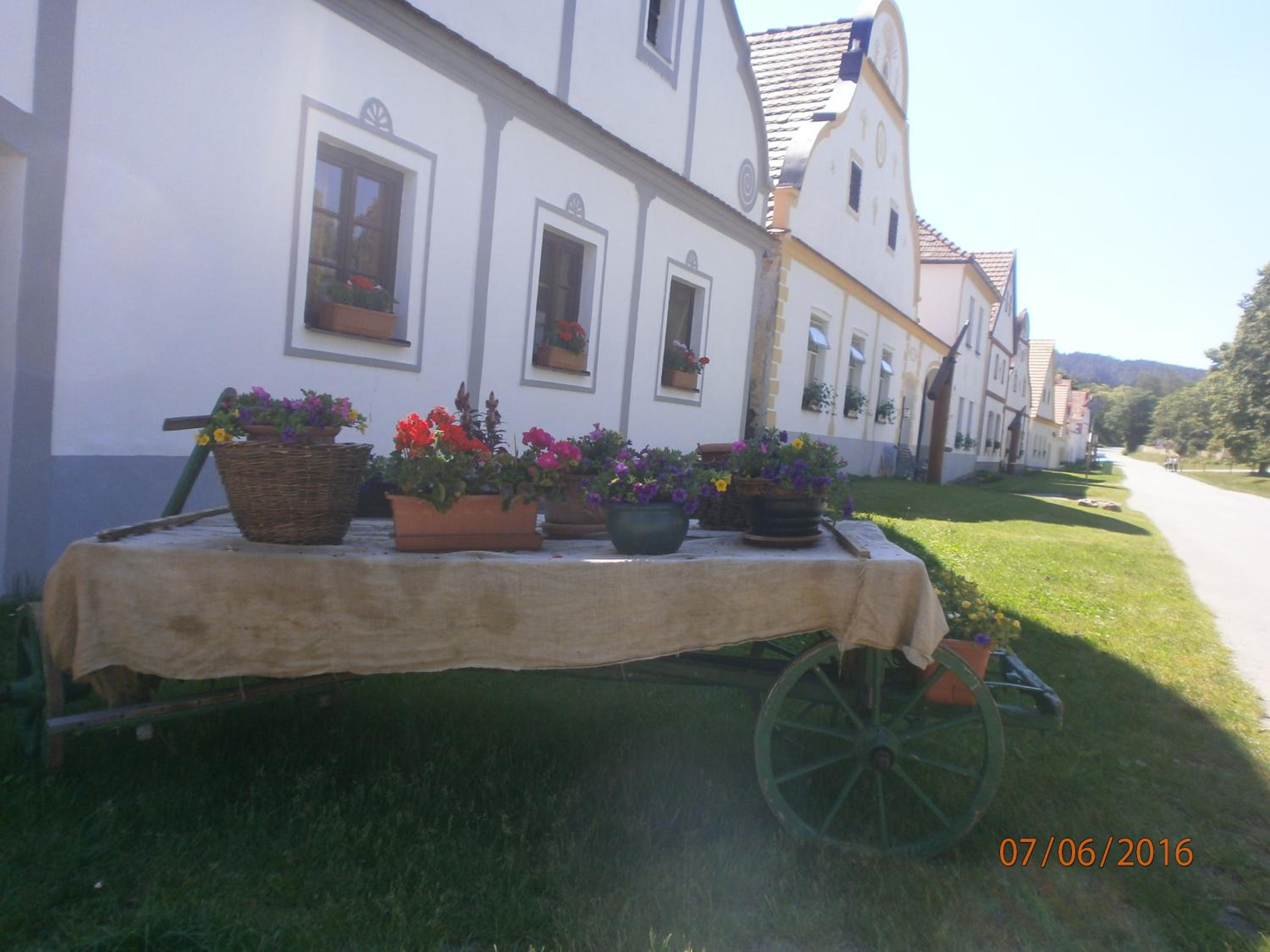 Photo 52