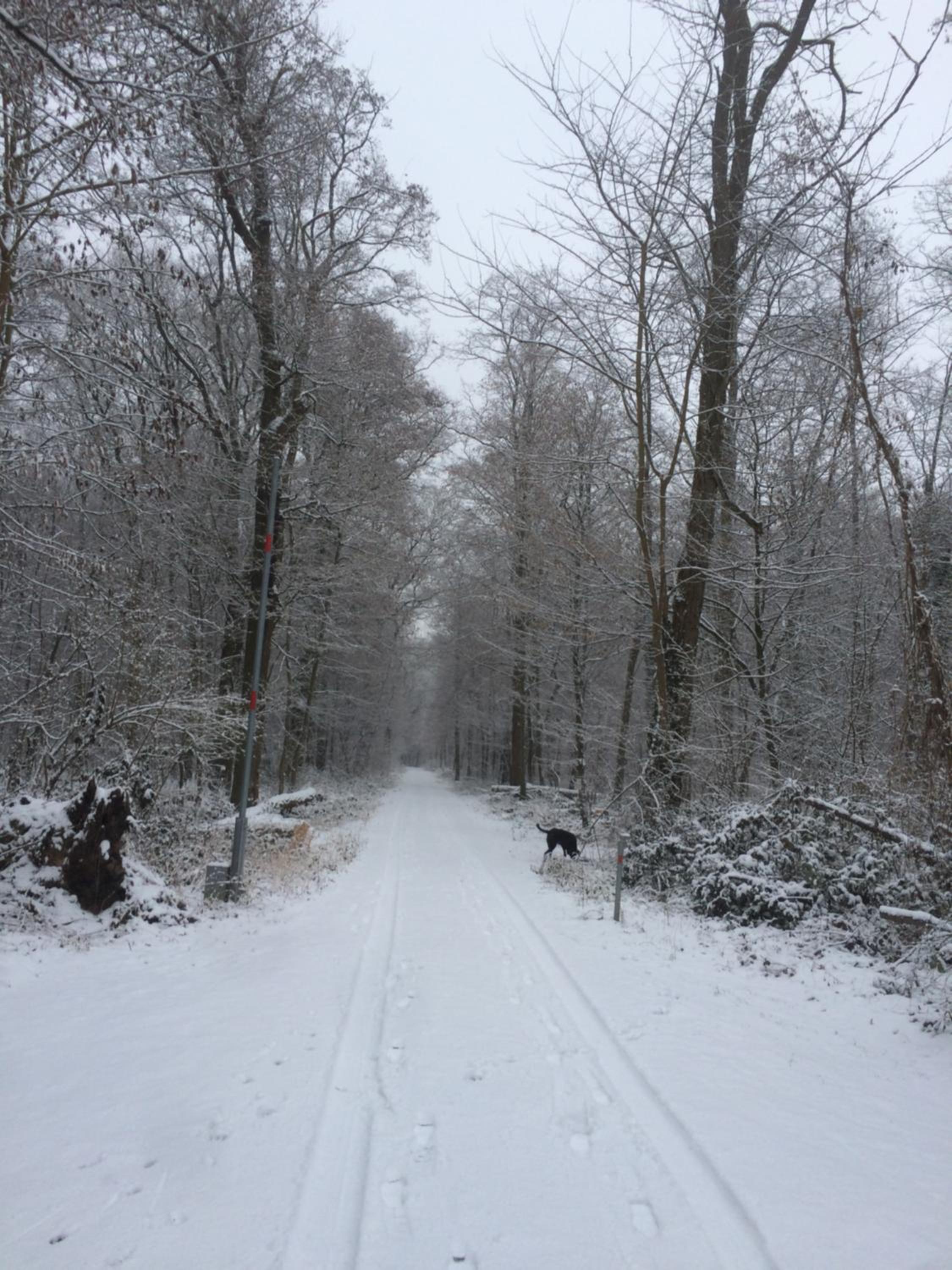 Alte Heimat