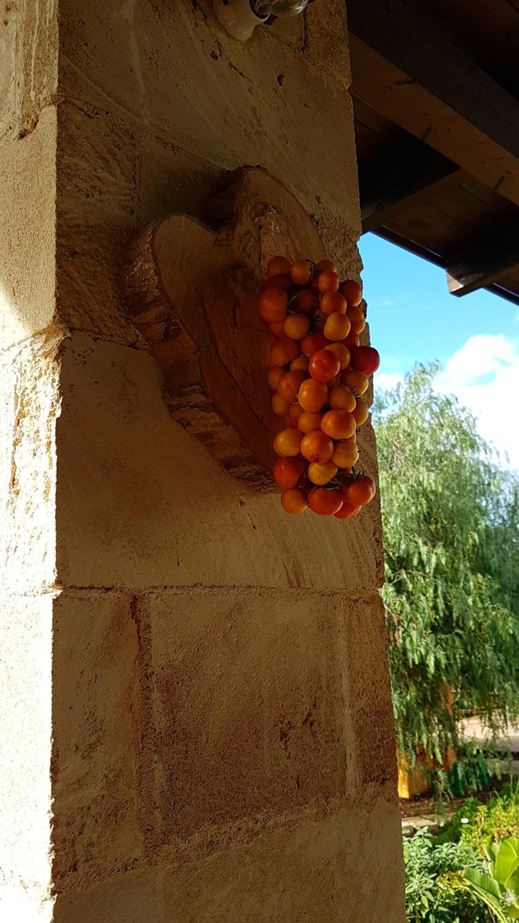 Agriturismo Calamate