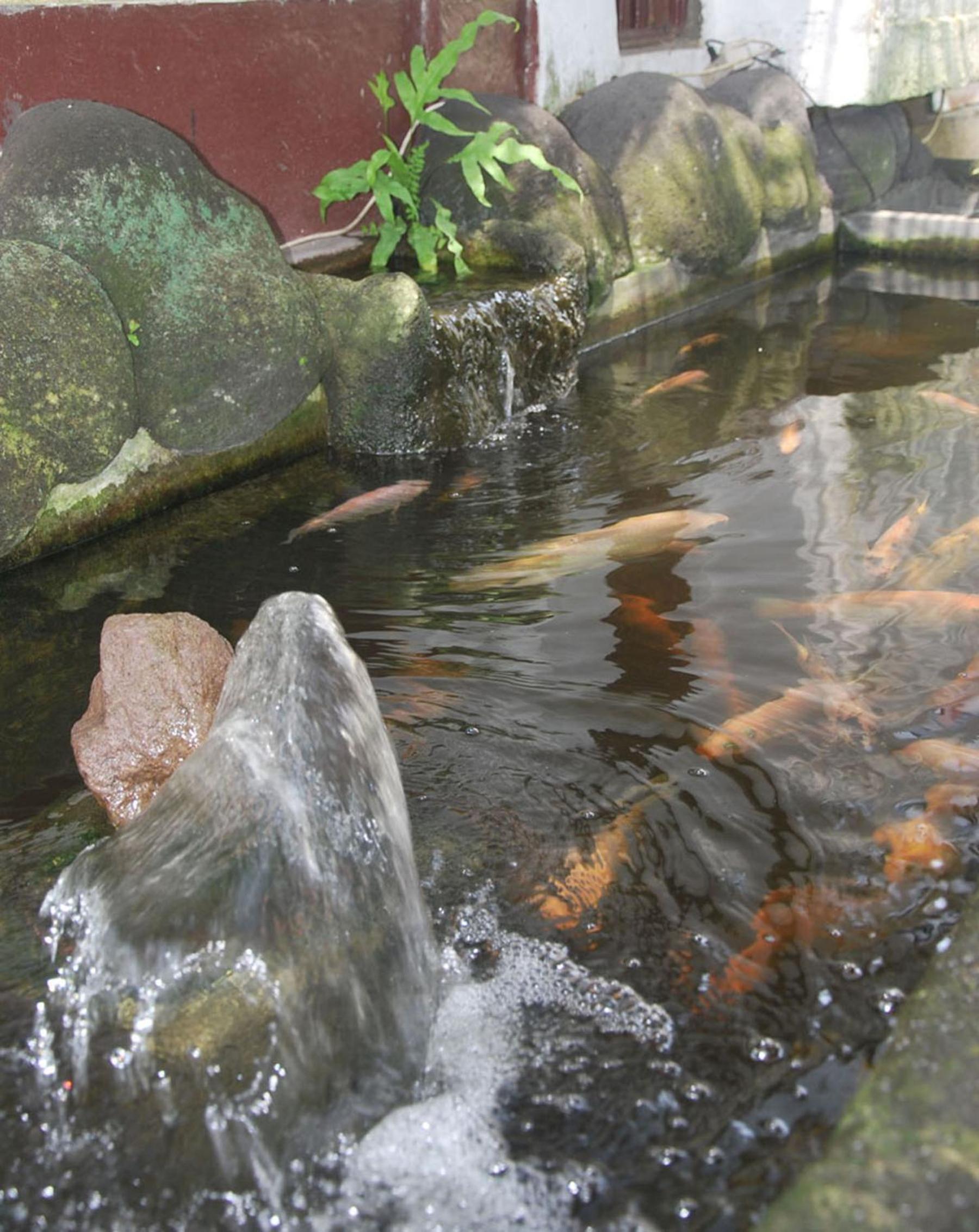 Photo 47