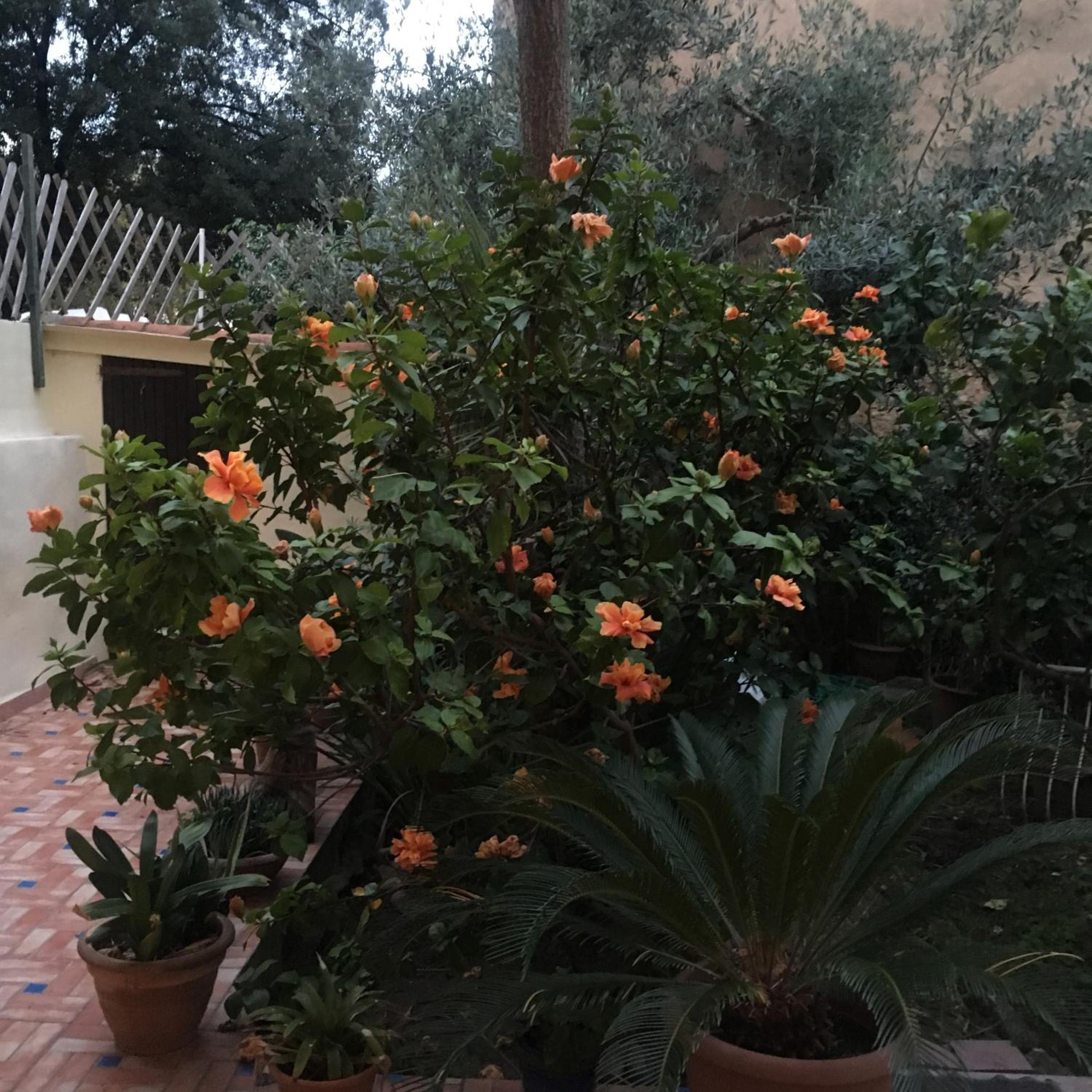 Photo 31