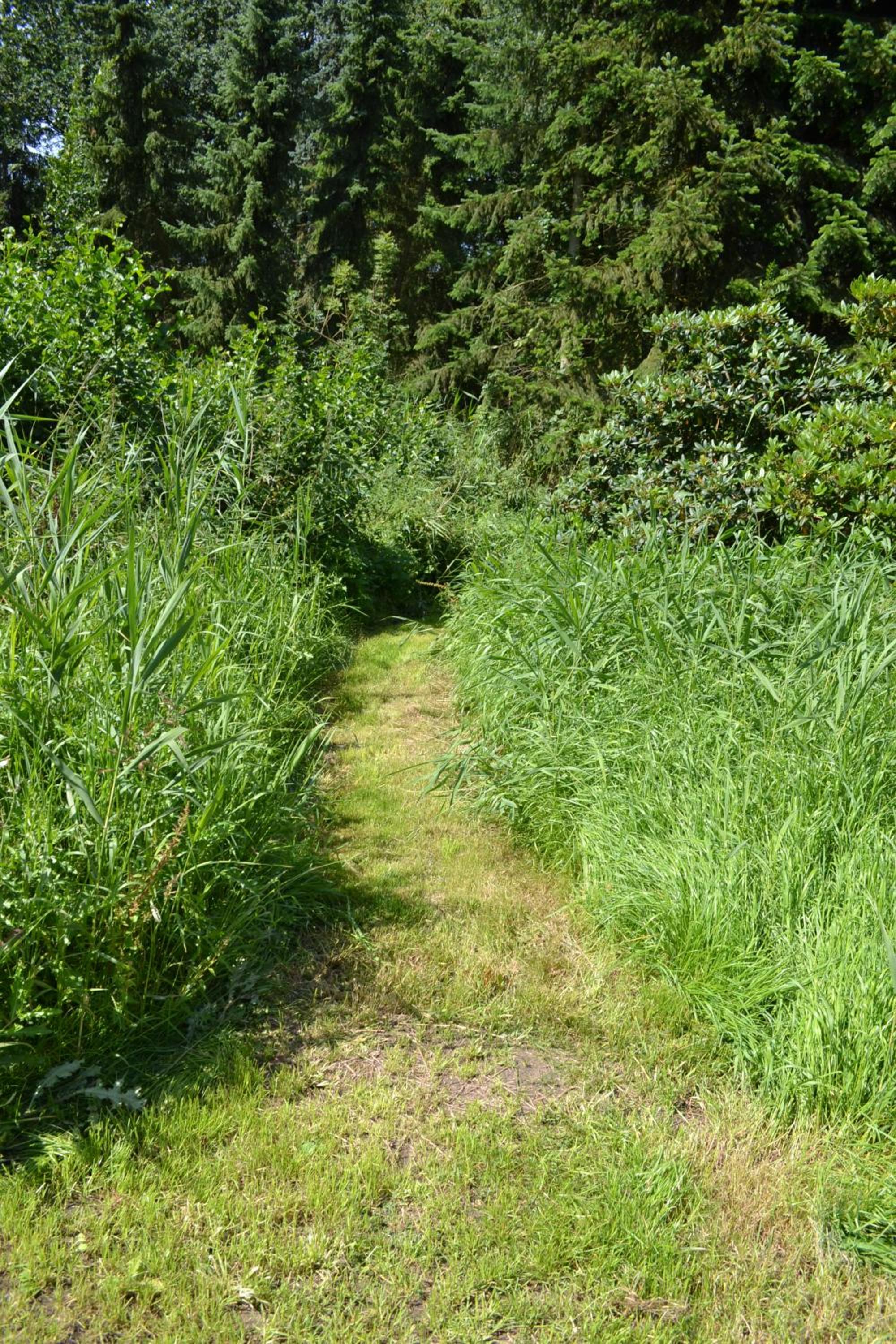 Photo 28