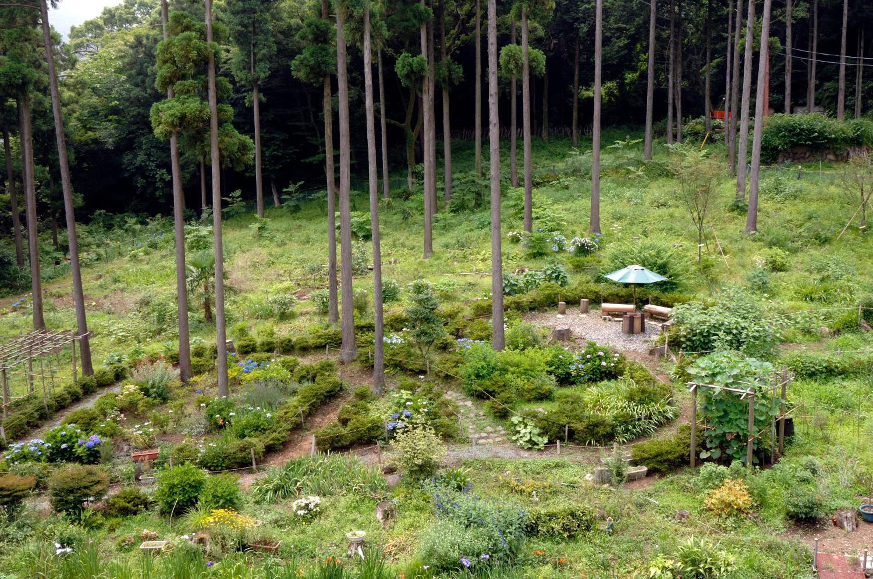 Hakonenomori Okada
