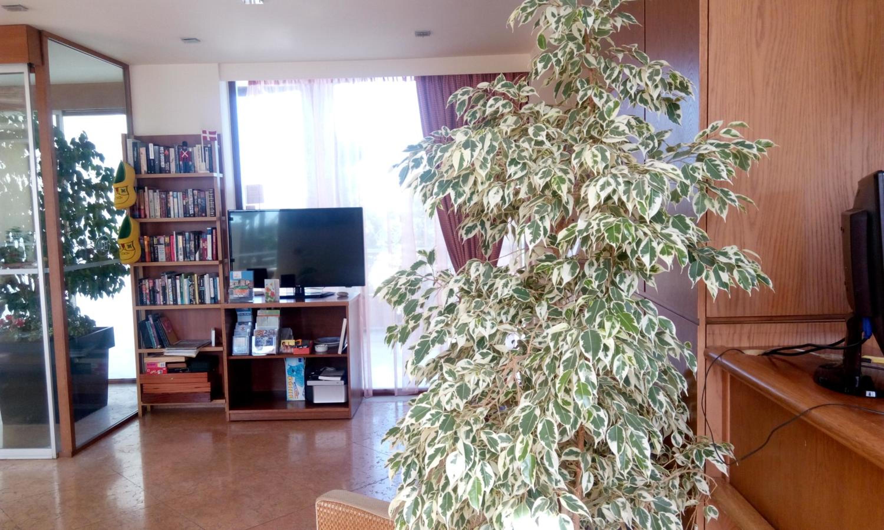 hotel reception