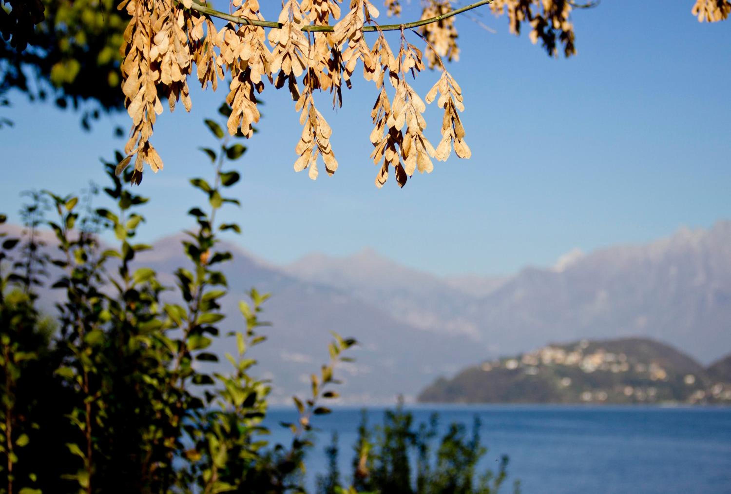 Photo 40
