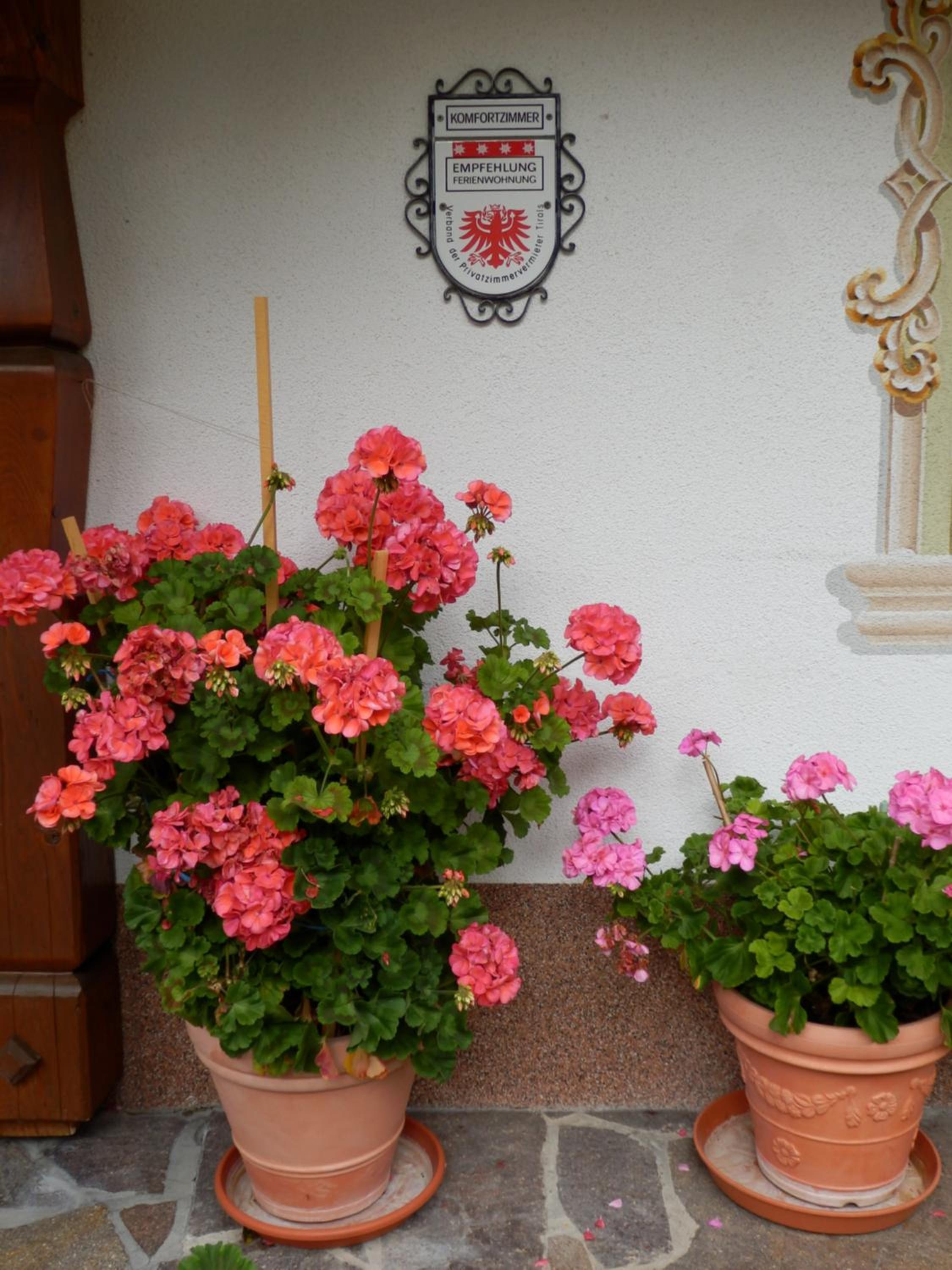 Haus Seebach